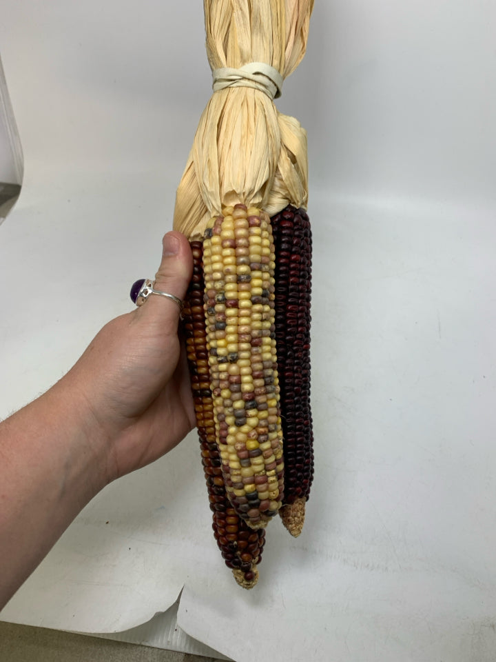 3 COLORED CORN BUNCH.
