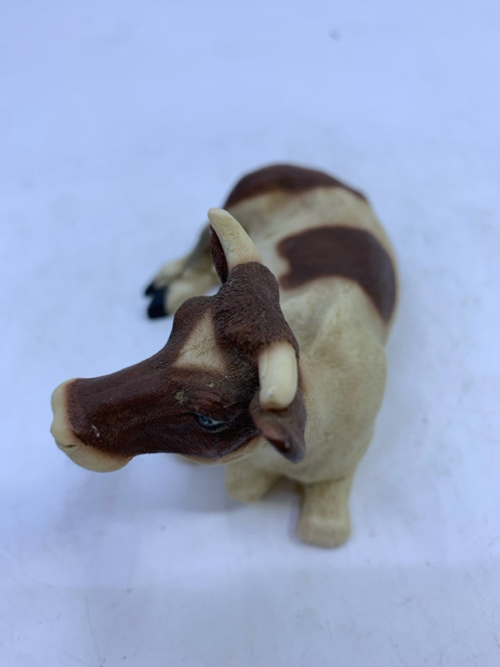 BROWN/WHITE COW LAYING.