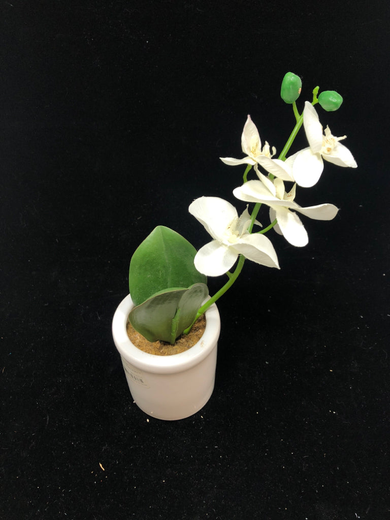 FAUX ORCHID IN WHITE POT.