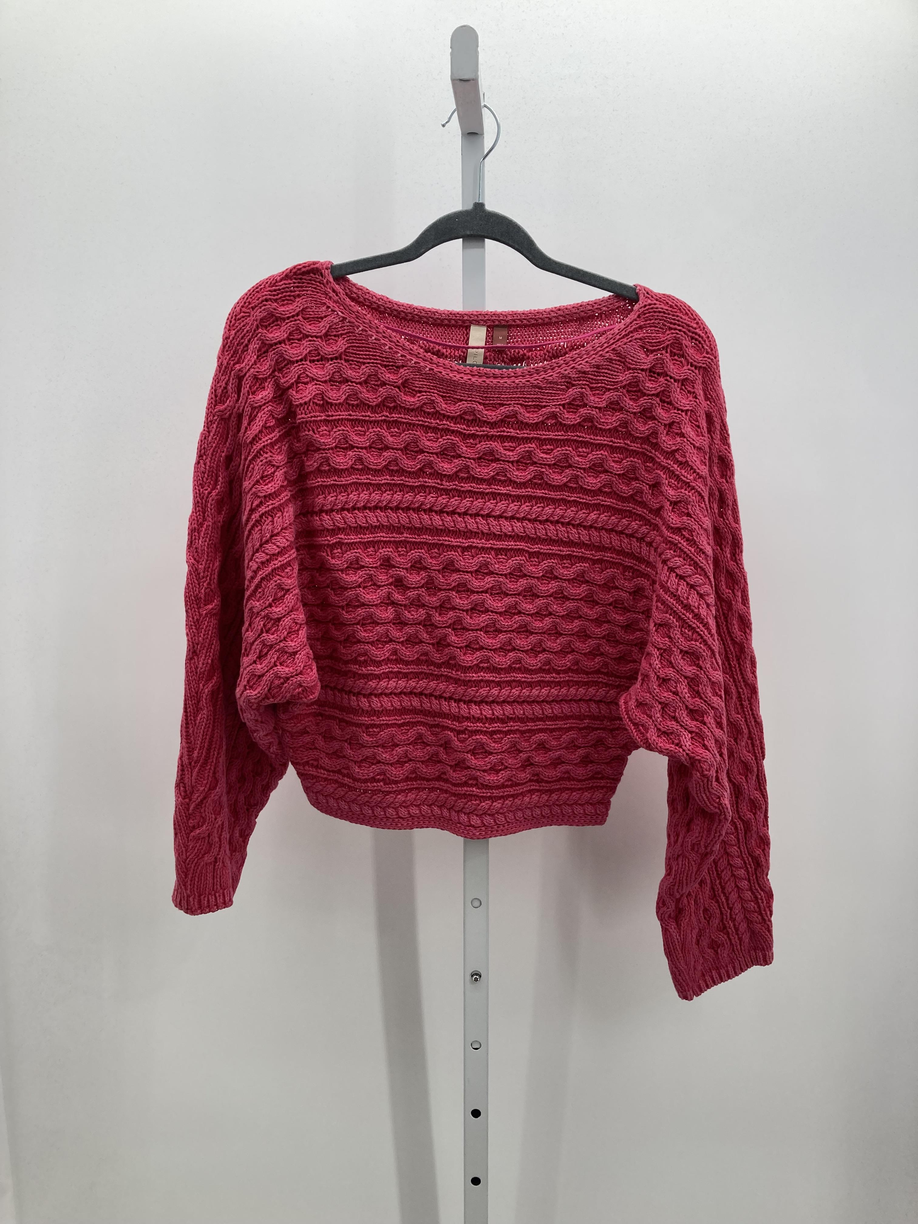 pilcro and the Size Medium Misses Long Slv Sweater