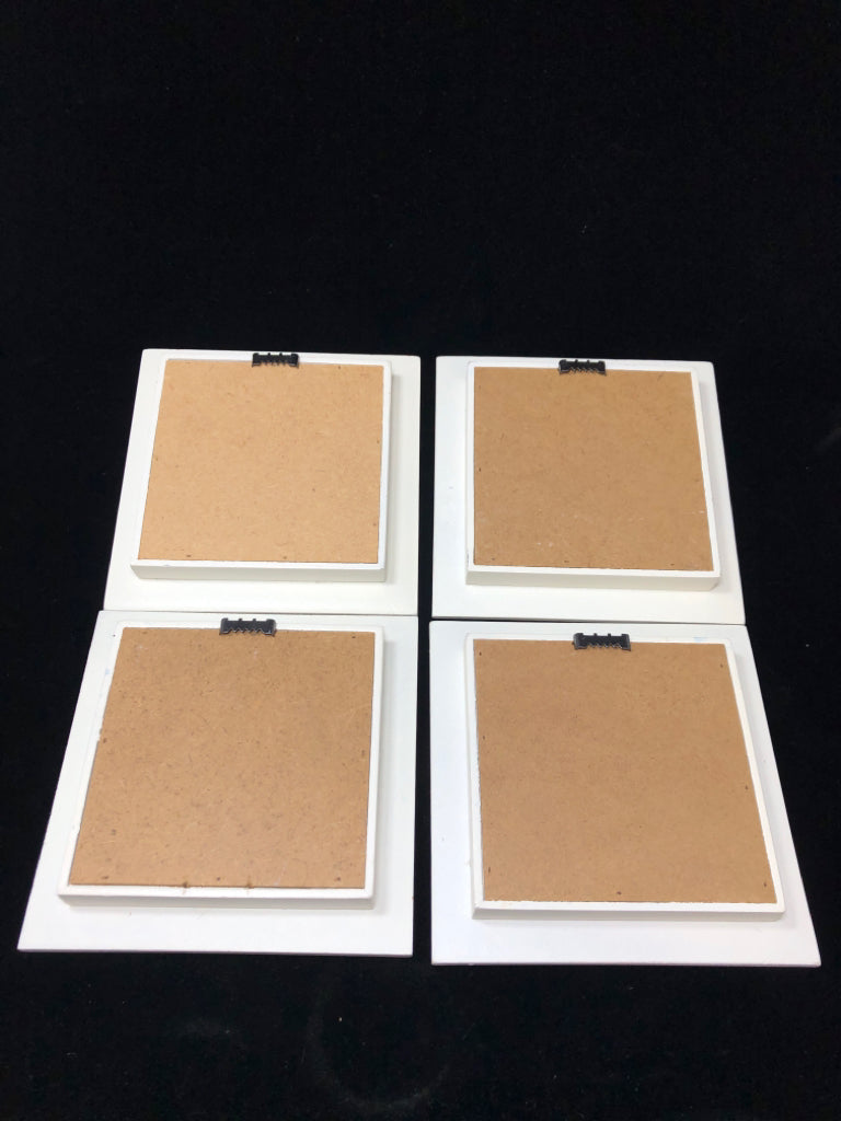 4 SEASHELLS IN SHADOWBOX FRAMES.