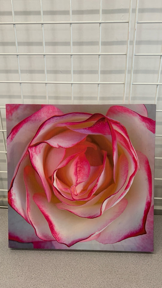 PINK ROSE CANVAS WALL HANGING.