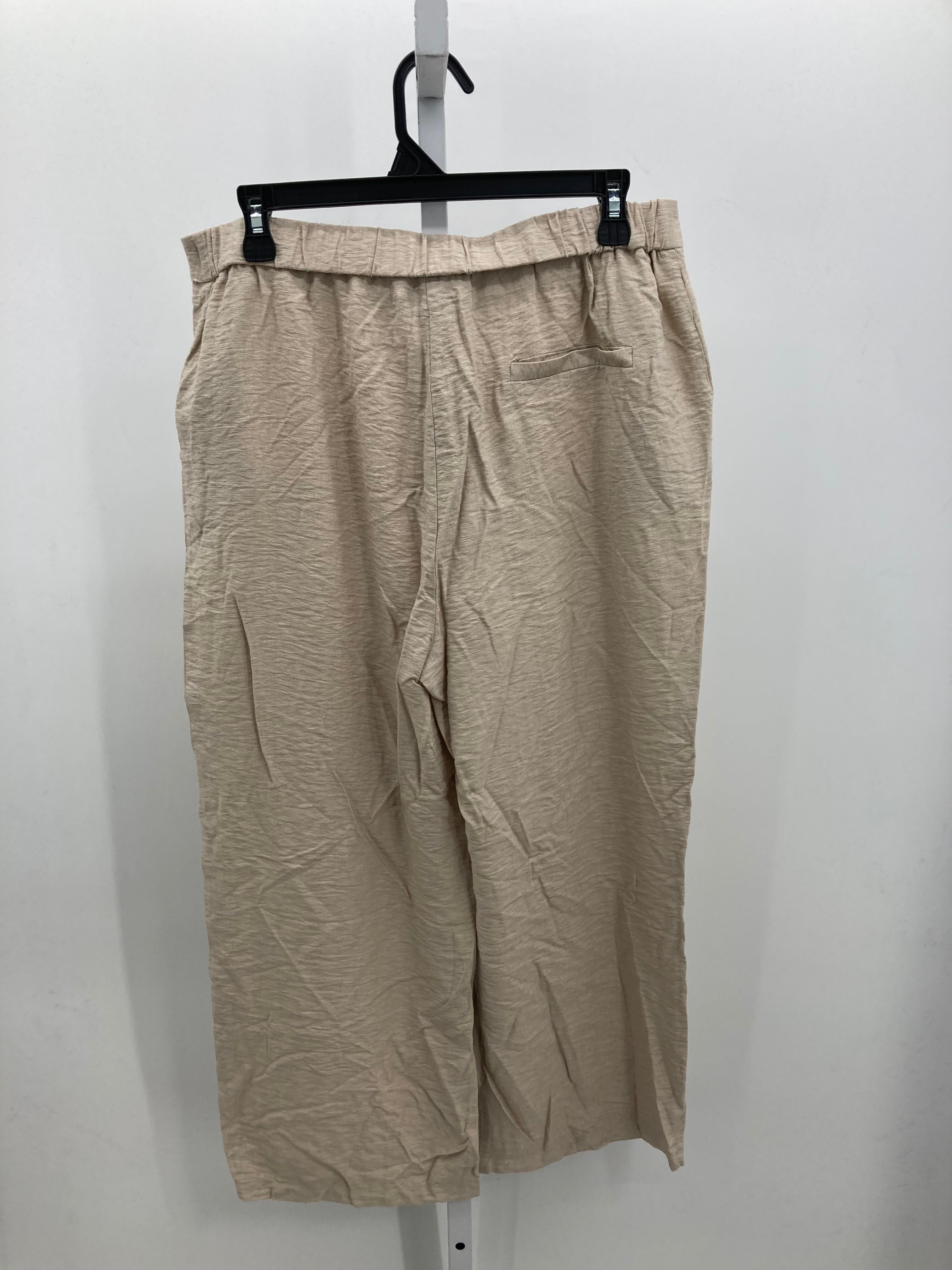 Size Extra Large Juniors Pants