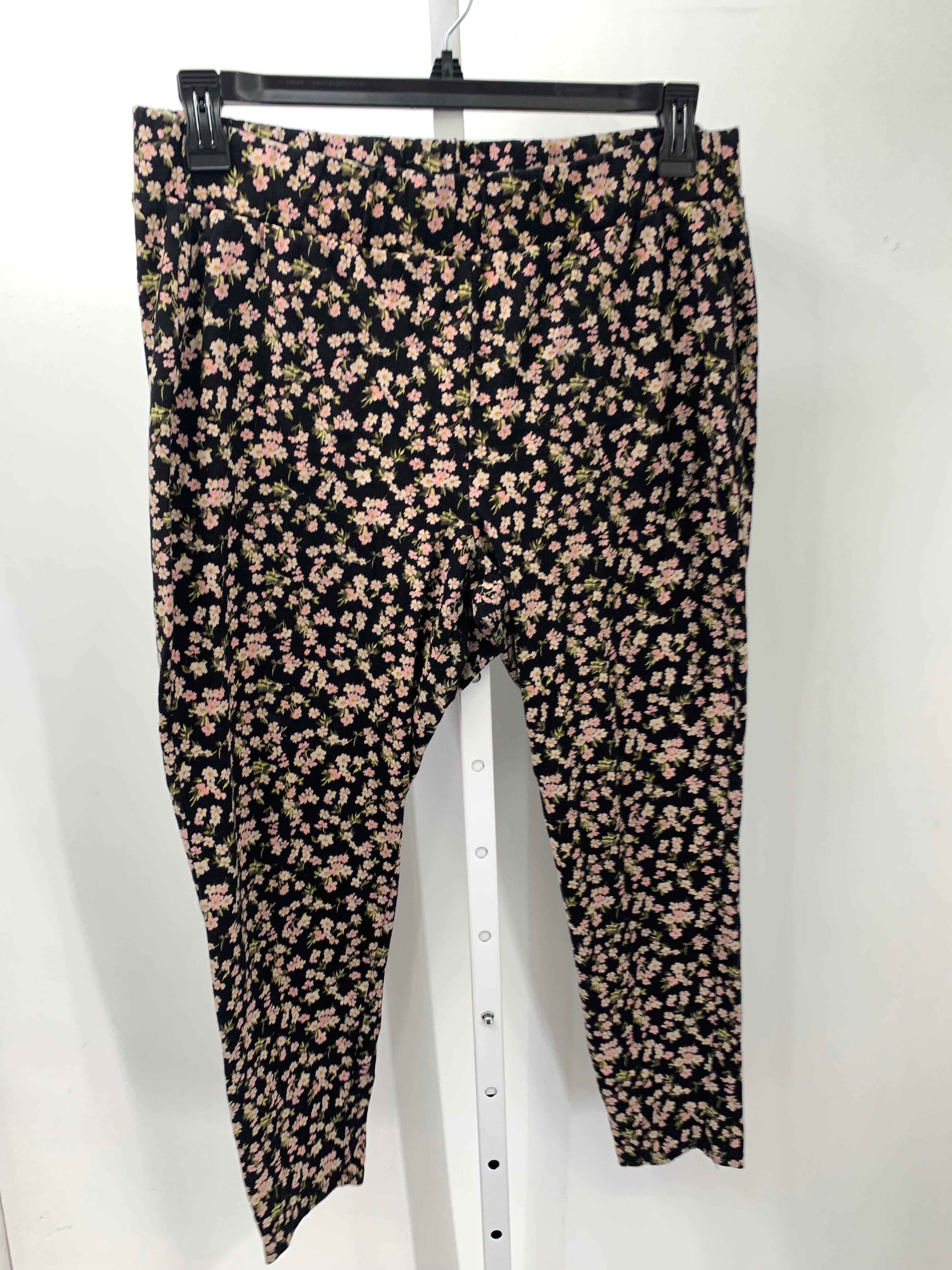 Torrid Size 3X Womens Pants