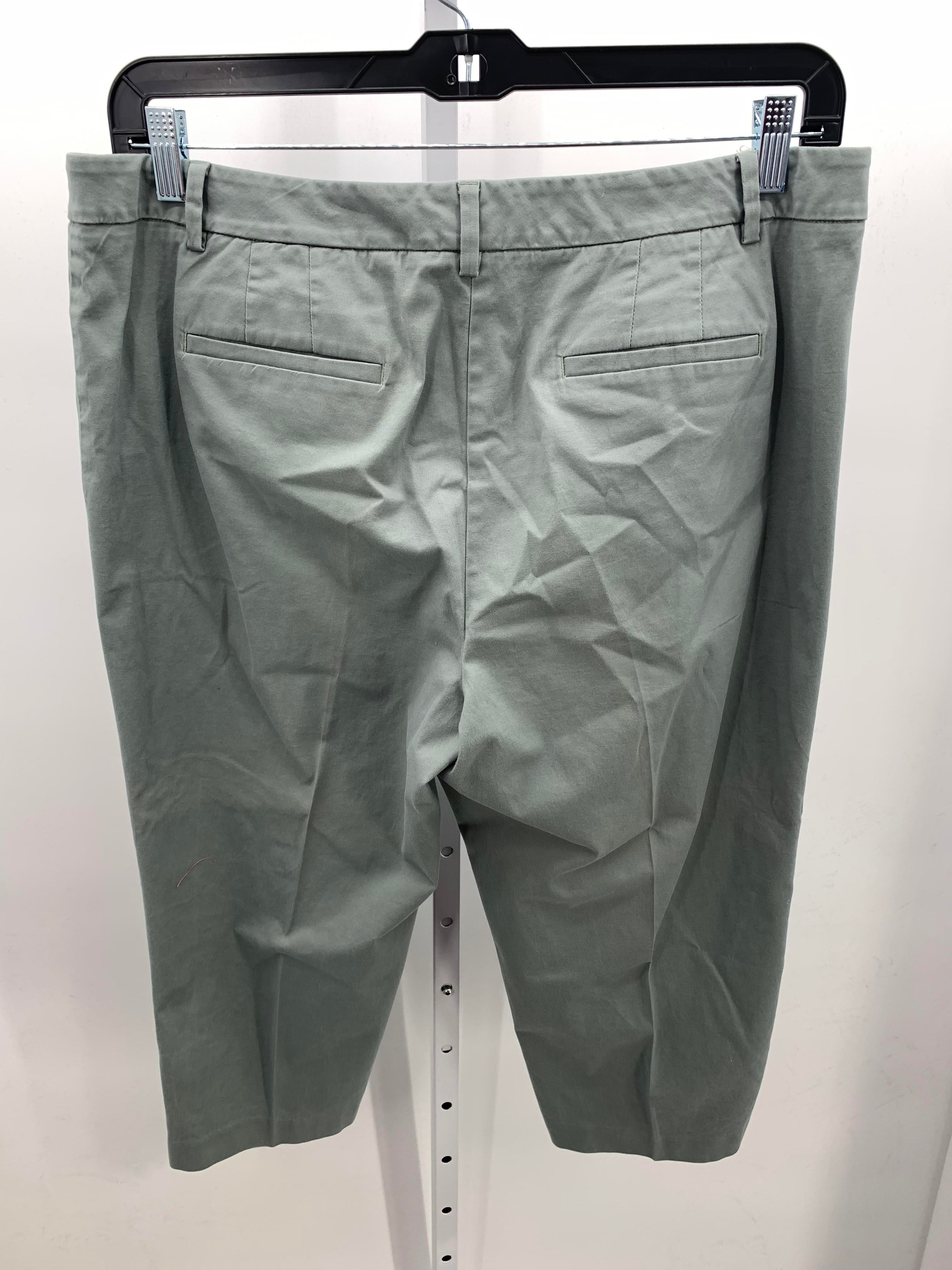 Talbots Size 16 Misses Cropped Pants