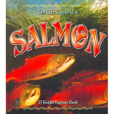 Pre-Owned the Life Cycle of a Salmon (Paperback) 9780778707059 - Bobbie Kalman