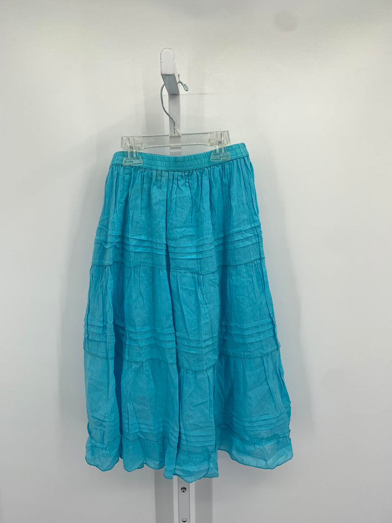 Jane Ashley Size Medium Petite Petite Skirt