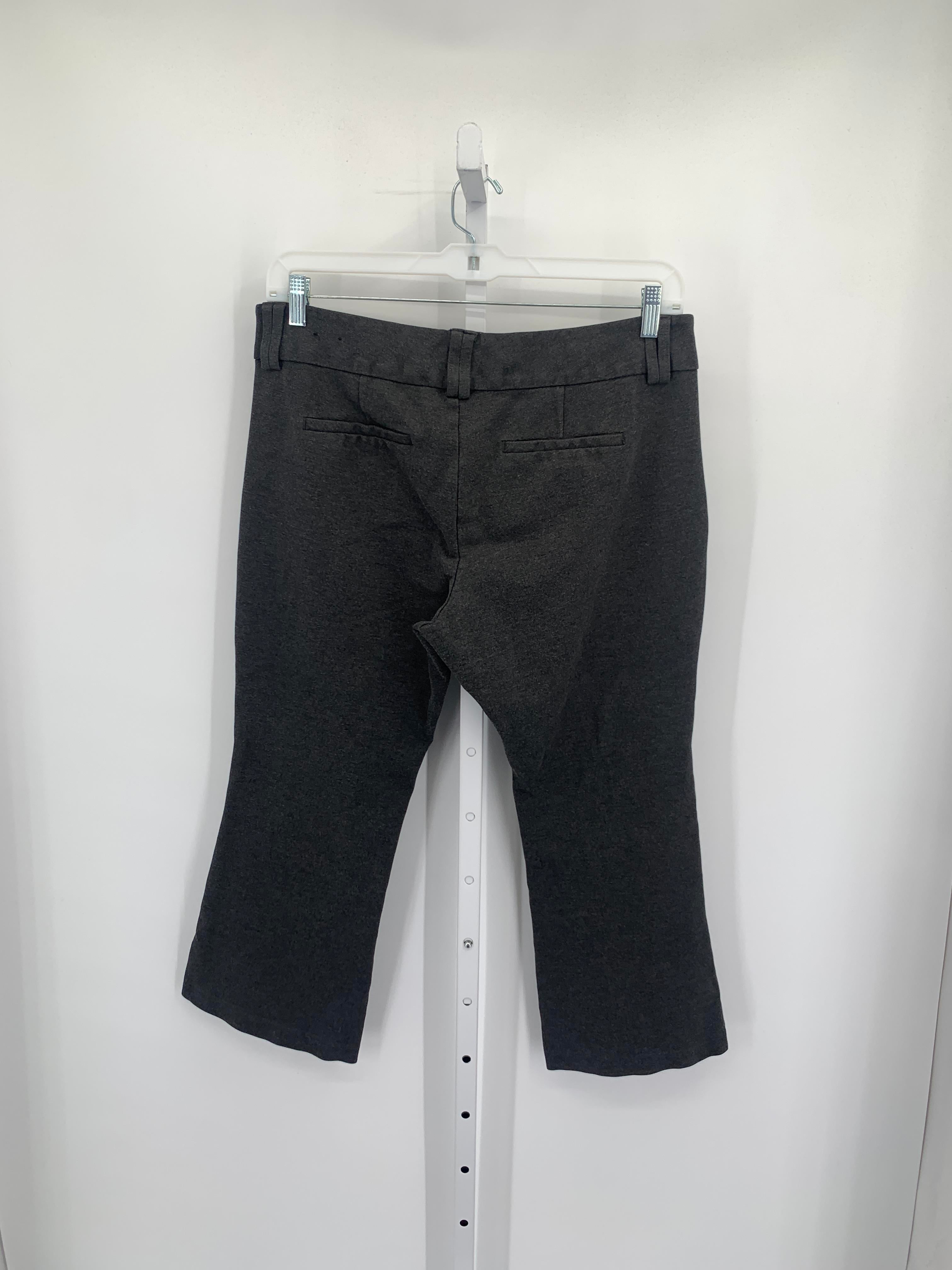 Studio Size 16 W Womens Pants