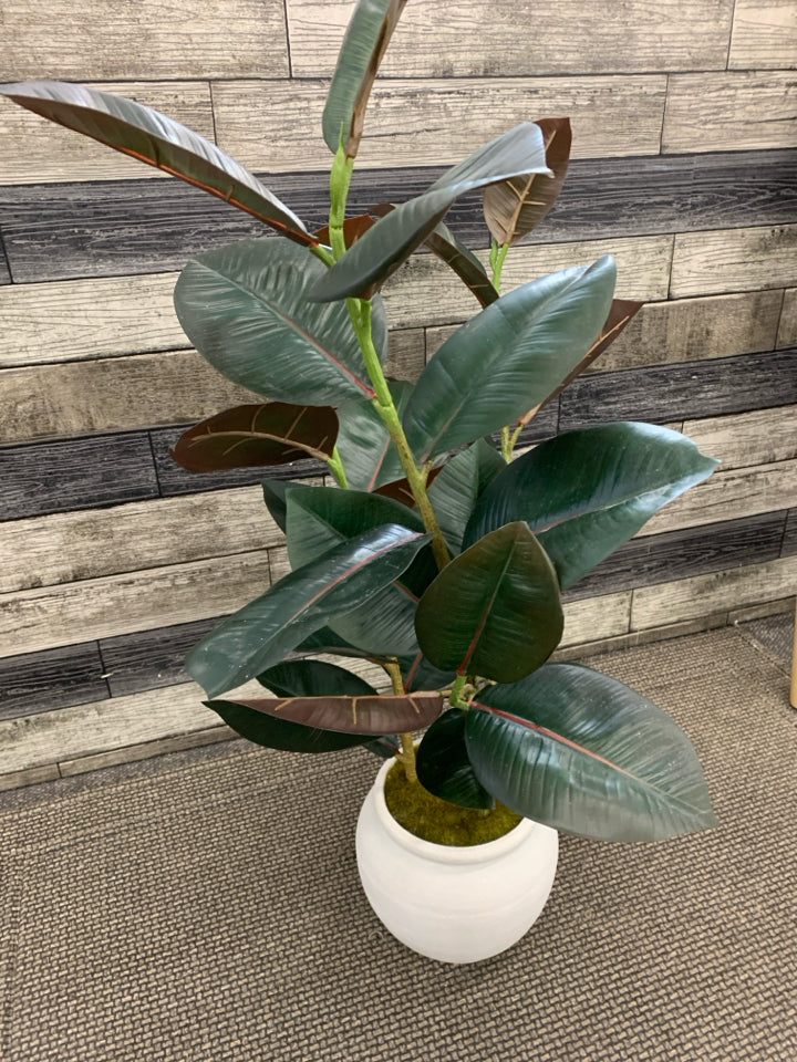 LARGE PLANT W/MOSS IN GRAY PLANTER.