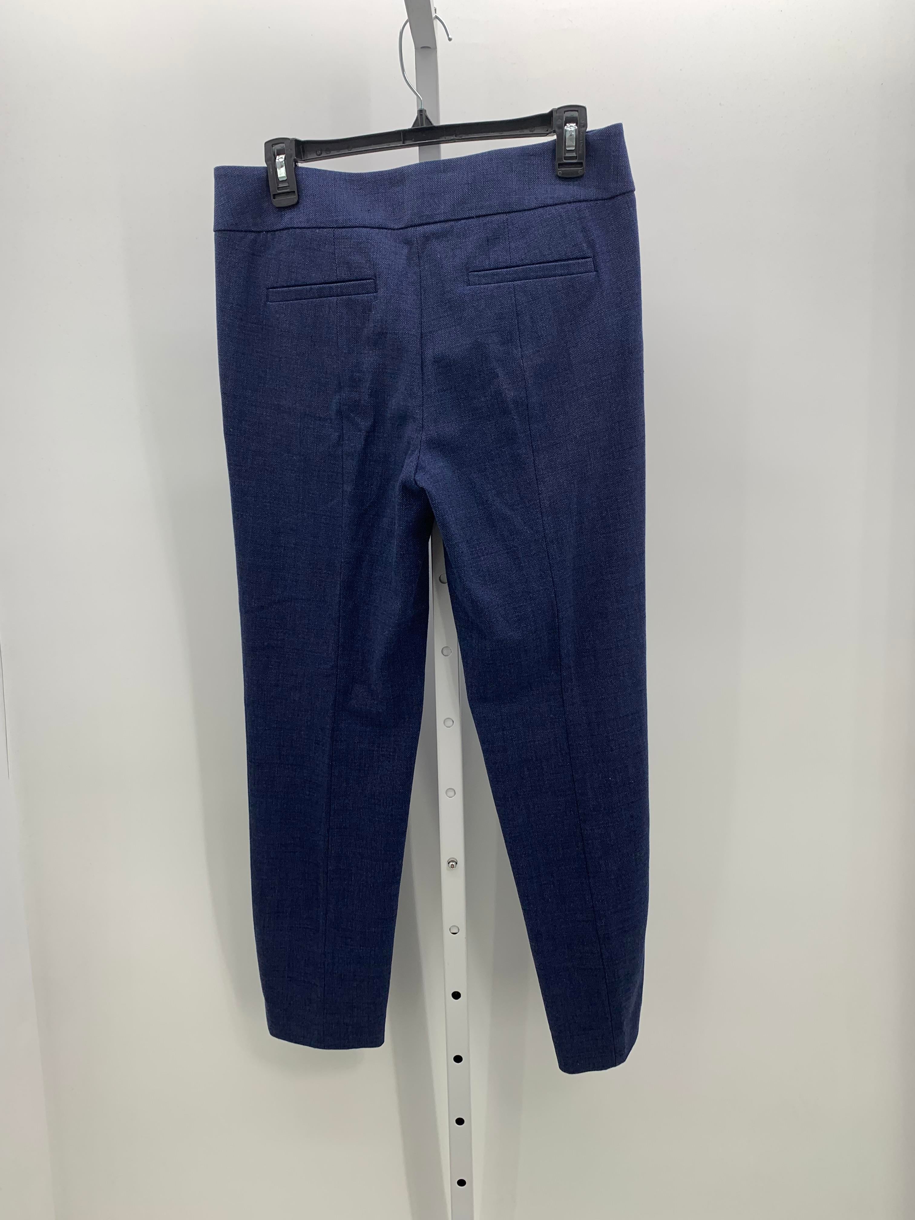 Loft Size 4 Misses Pants