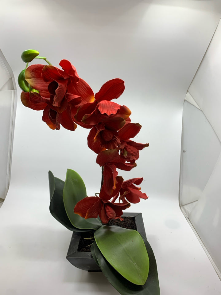 FAUX RED ORCHID.