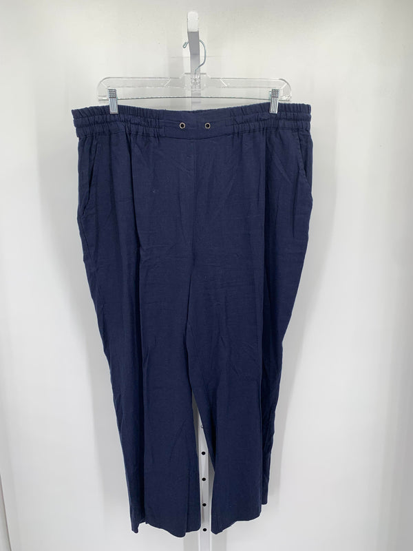 d & co. Size 1X Womens Pants