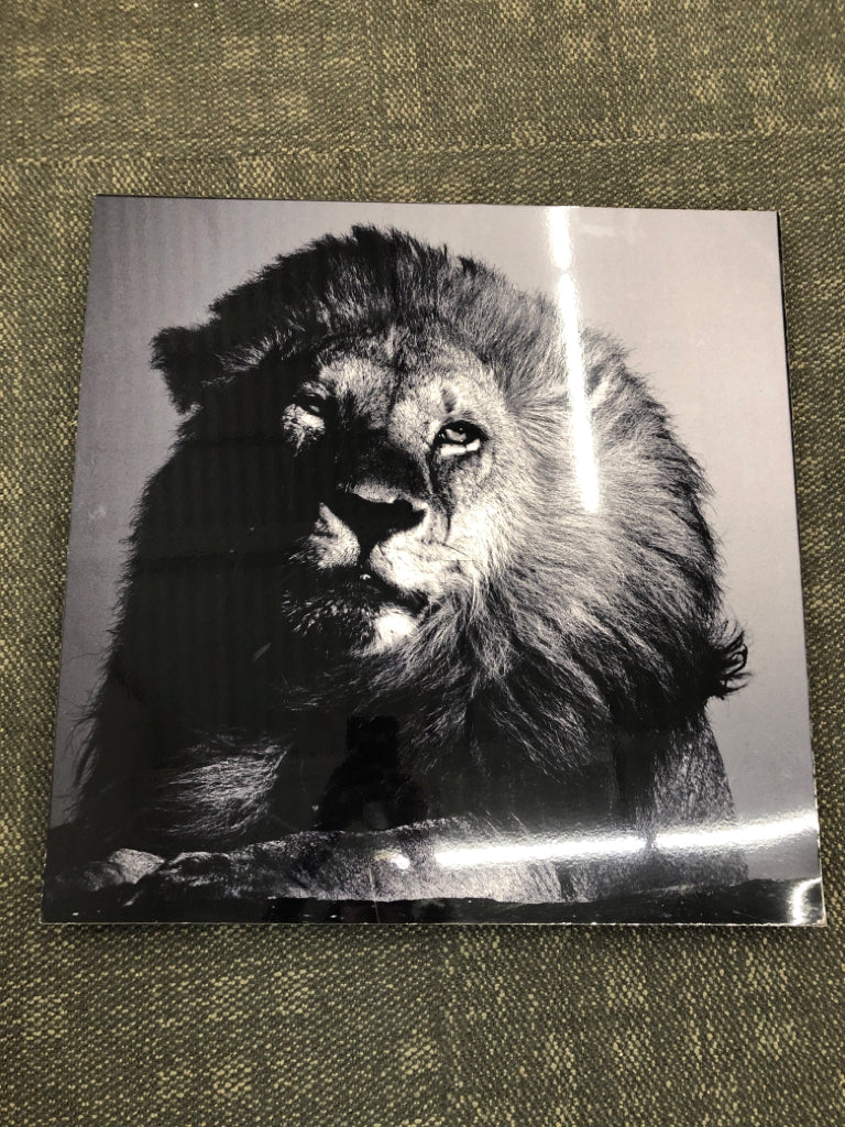 B&W LION METAL WALL-HANGING.