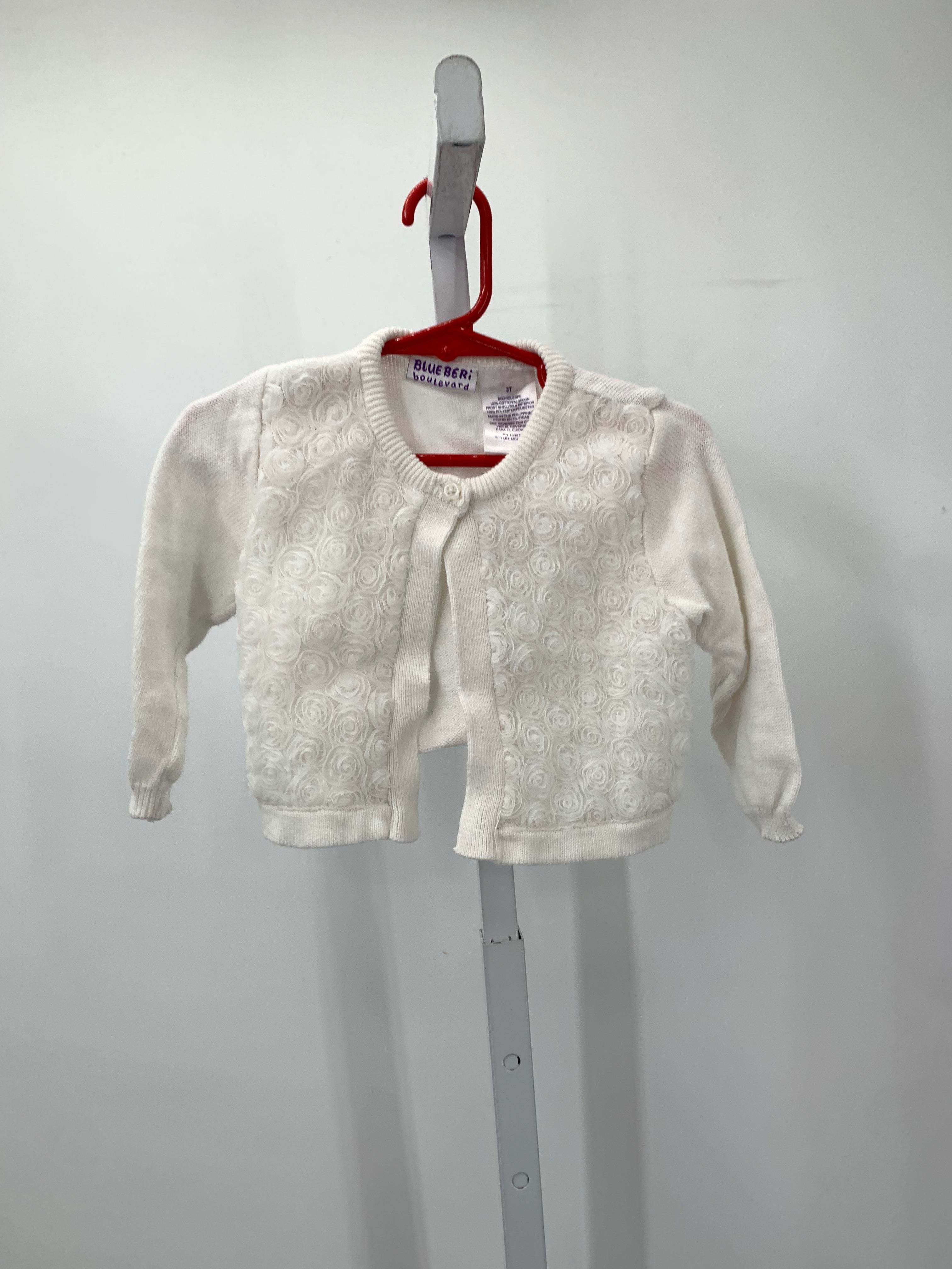 Blueberi Size 3T Girls Long Sleeve Sweater