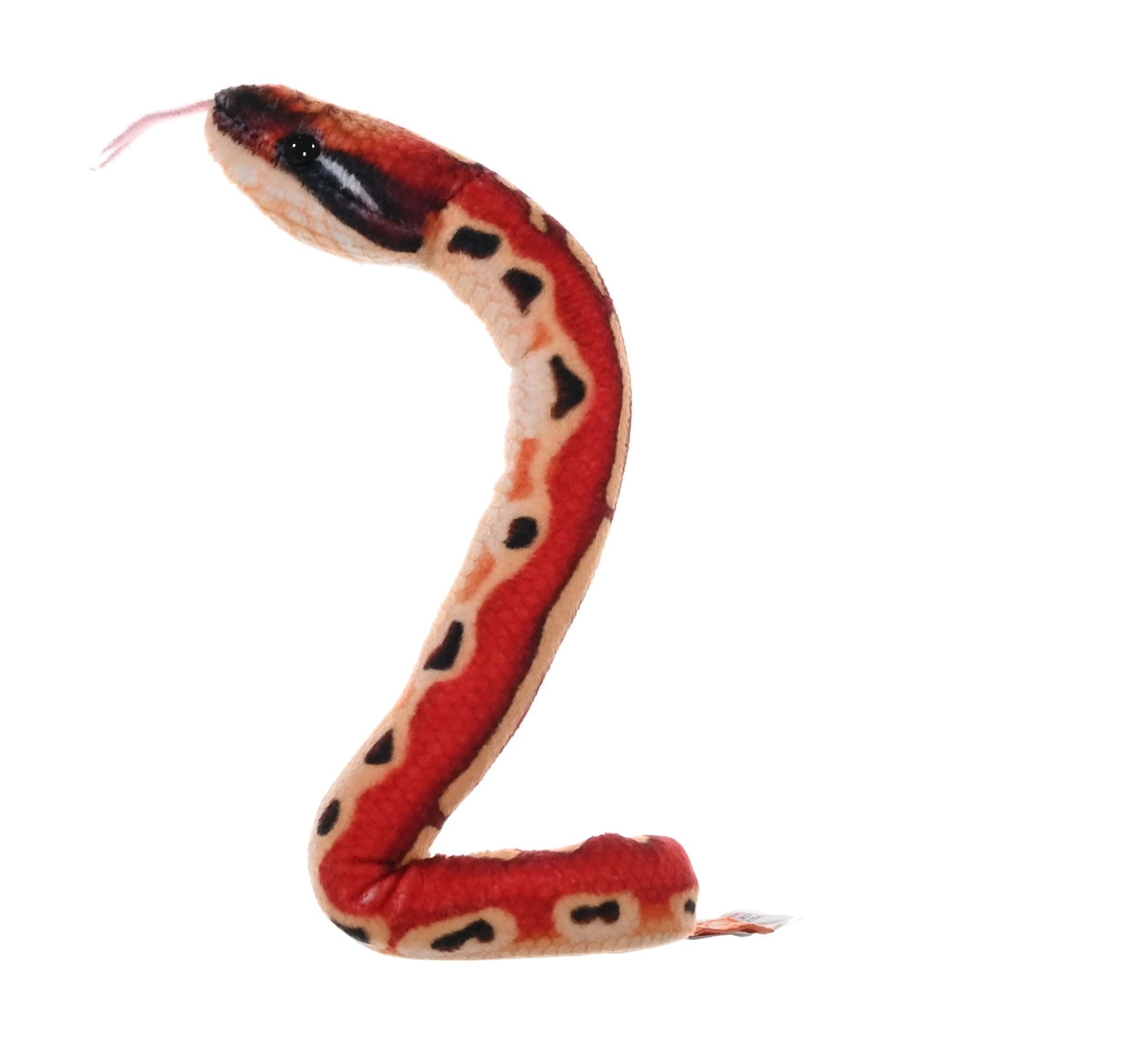 Coilkins Blood Python Snake