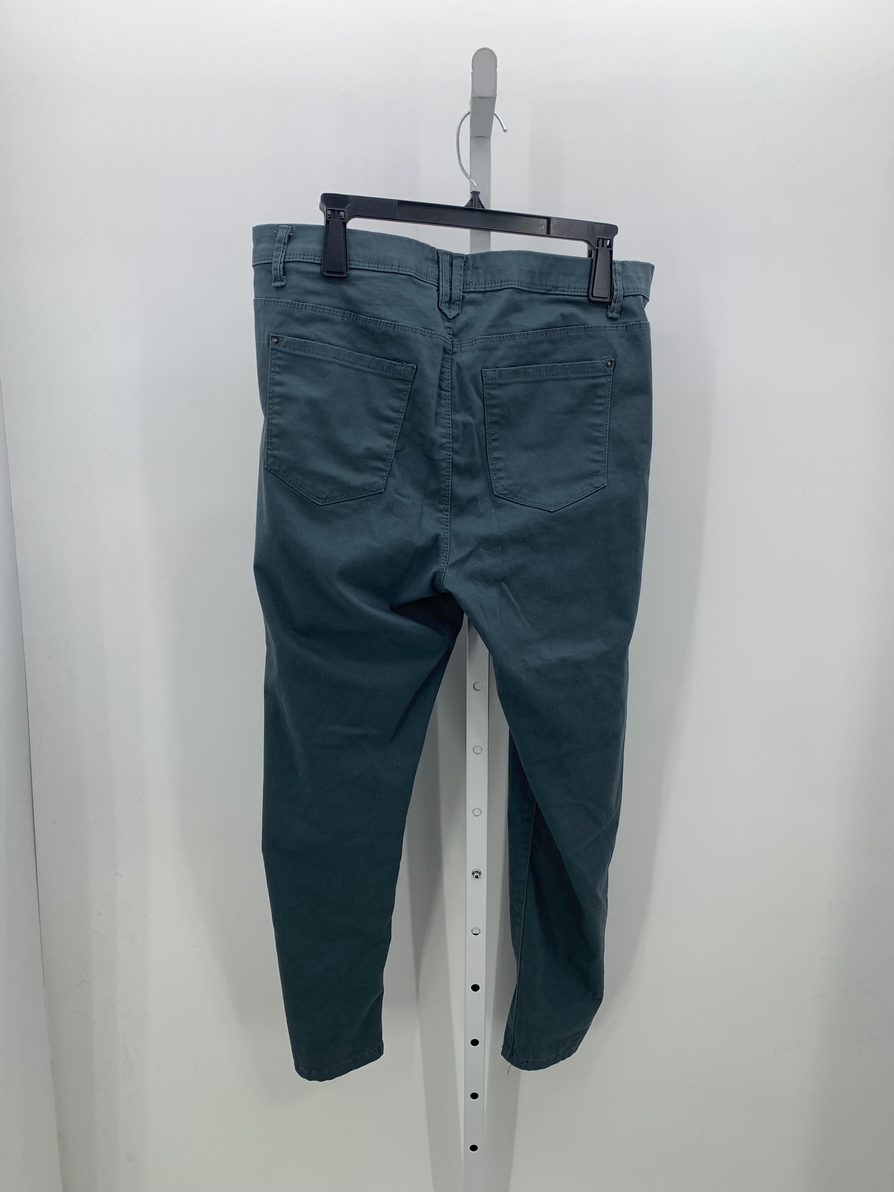 Curve Appeal Size 16 Misses Pants