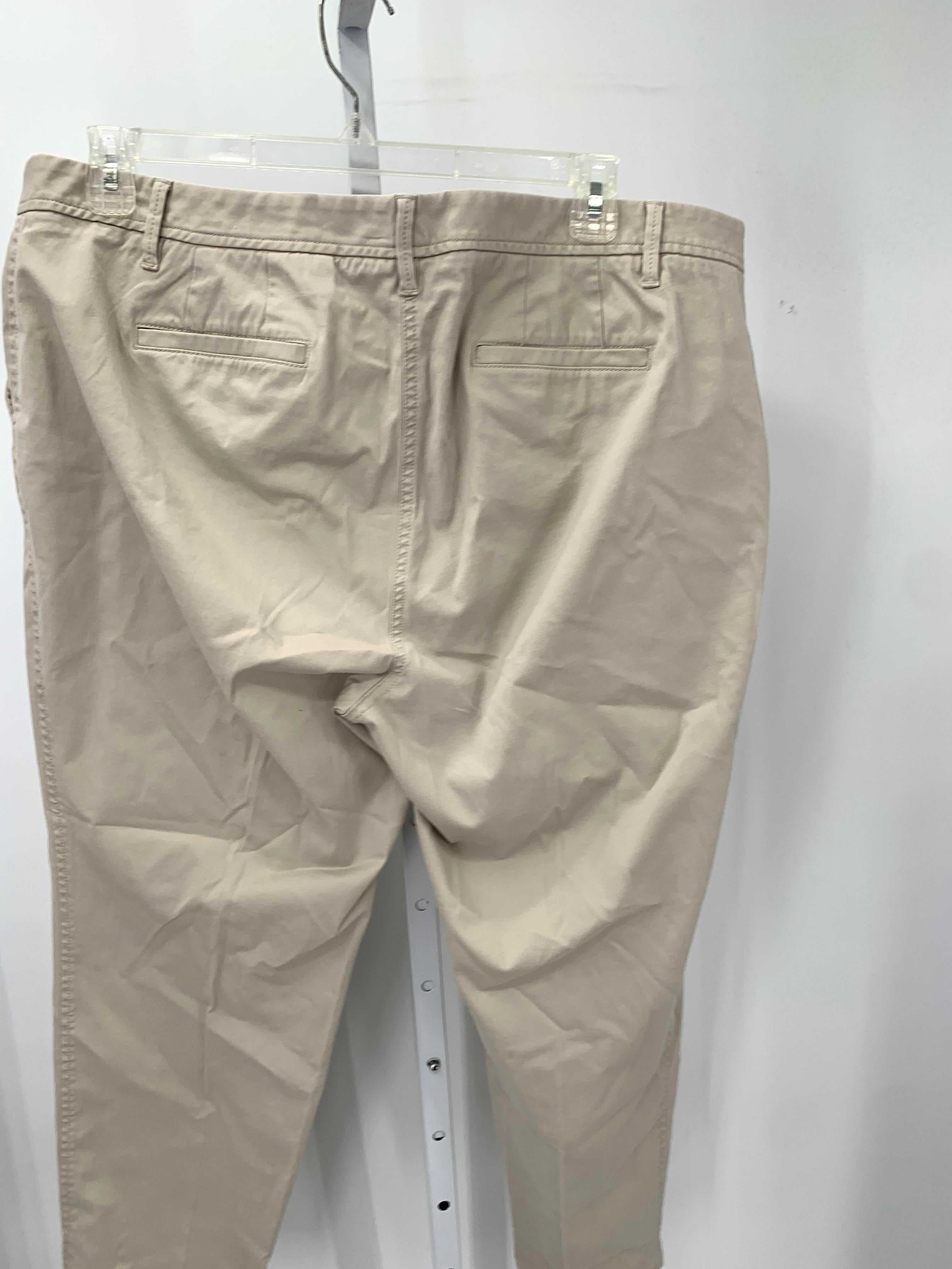 Talbots Size 18WP Womens Pants