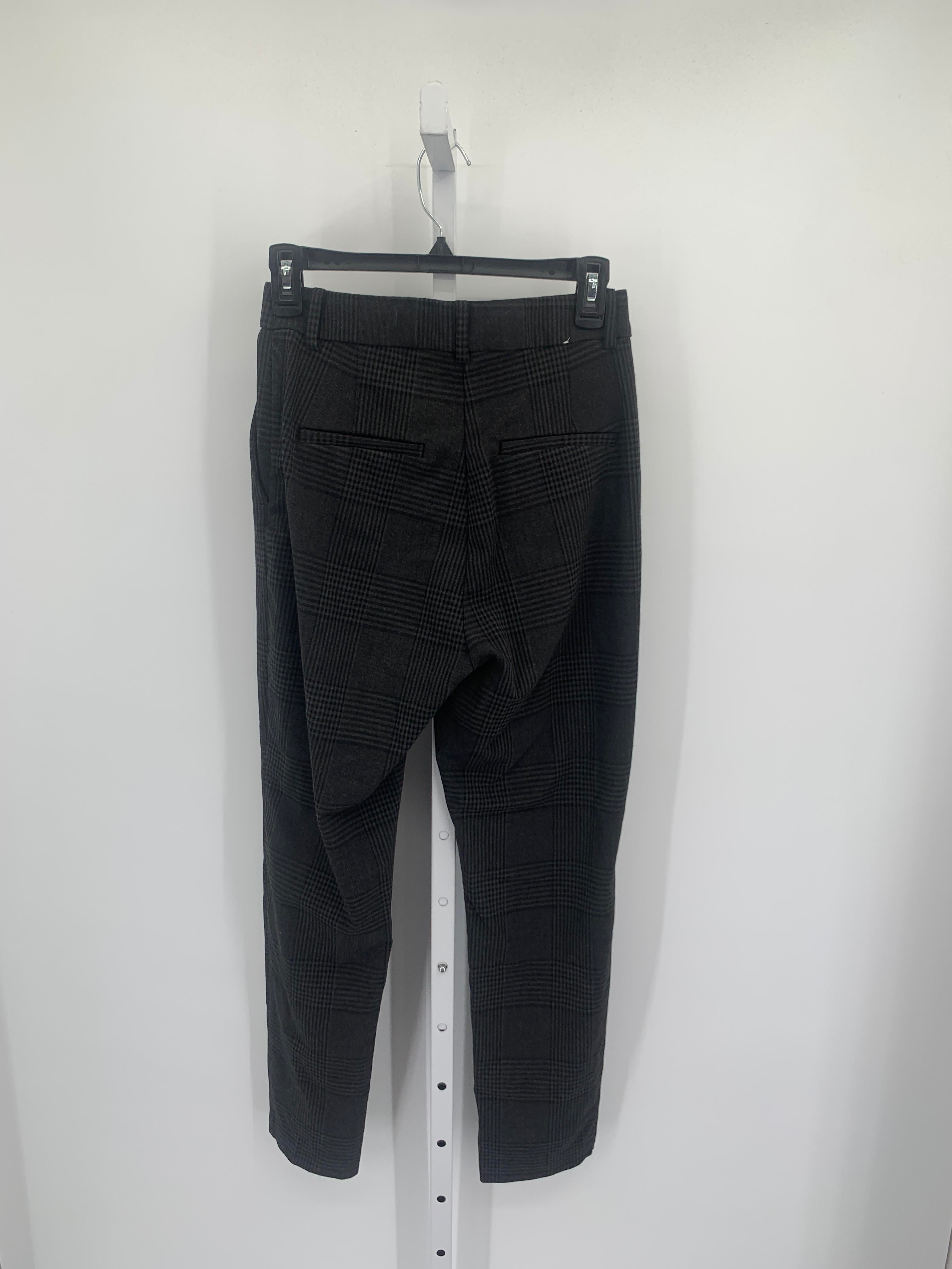 H&M Size 6 Misses Pants