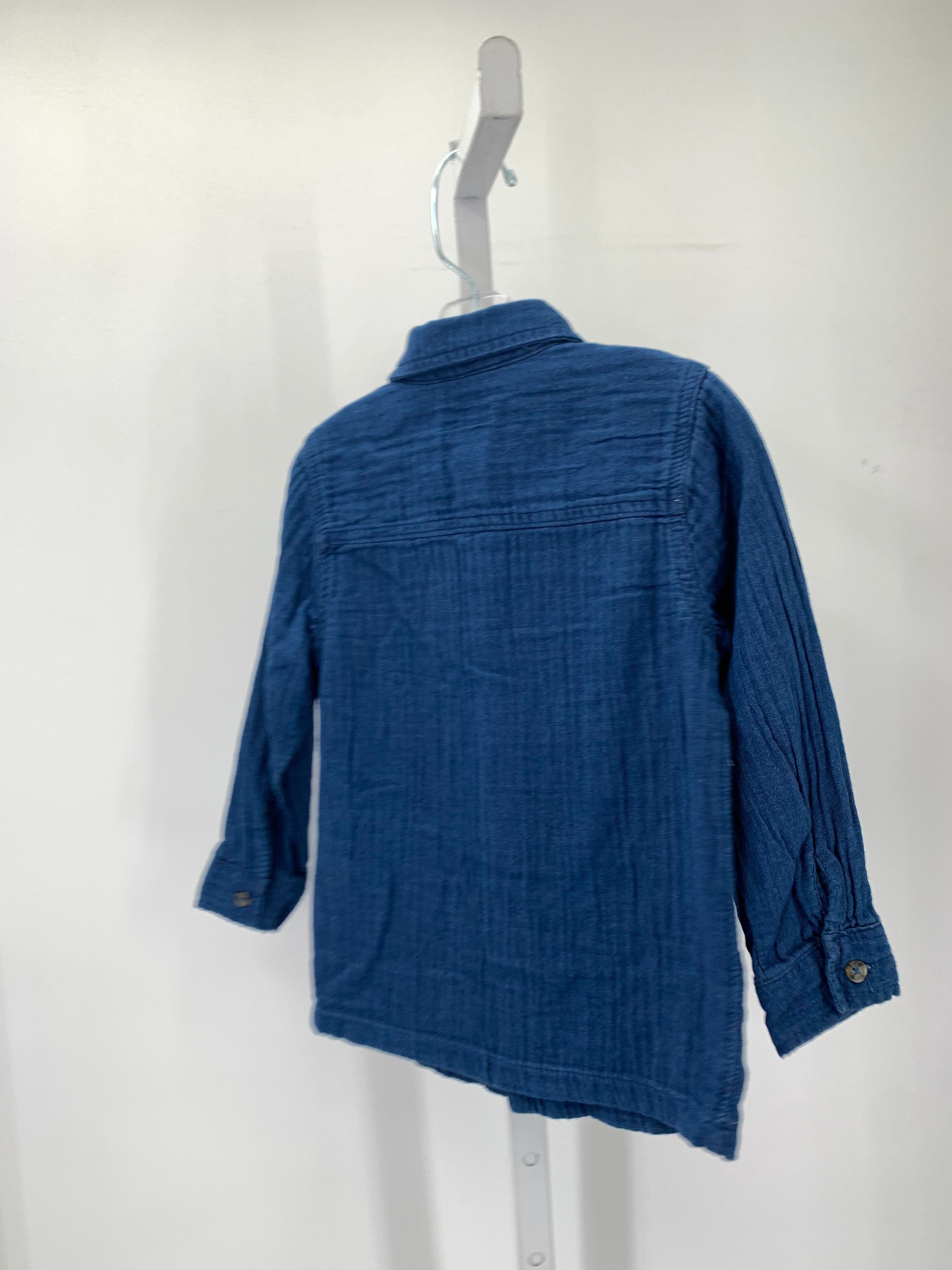 BTN DOWN SHIRT