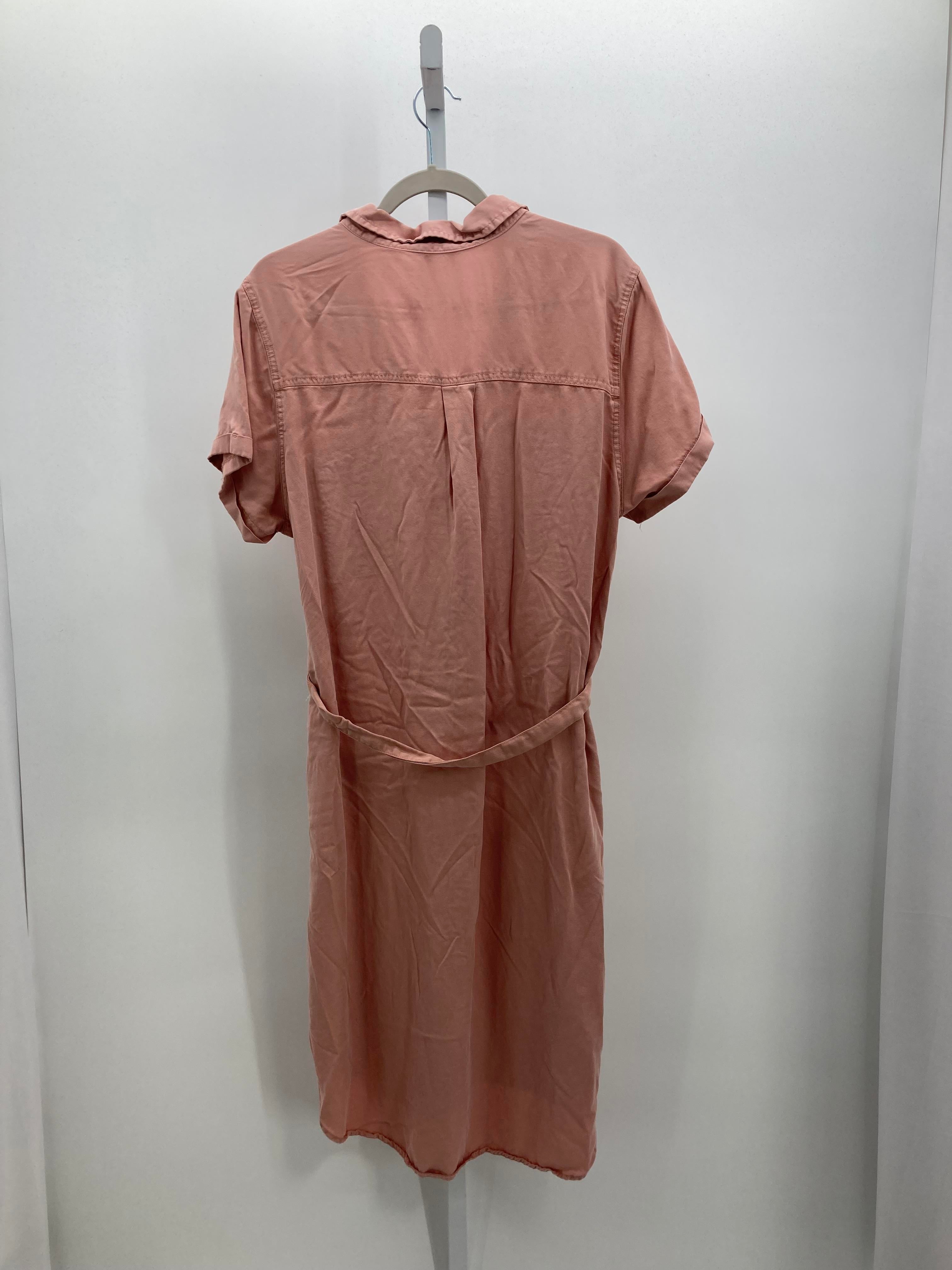 Size XXL Misses Short Sleeve Dress