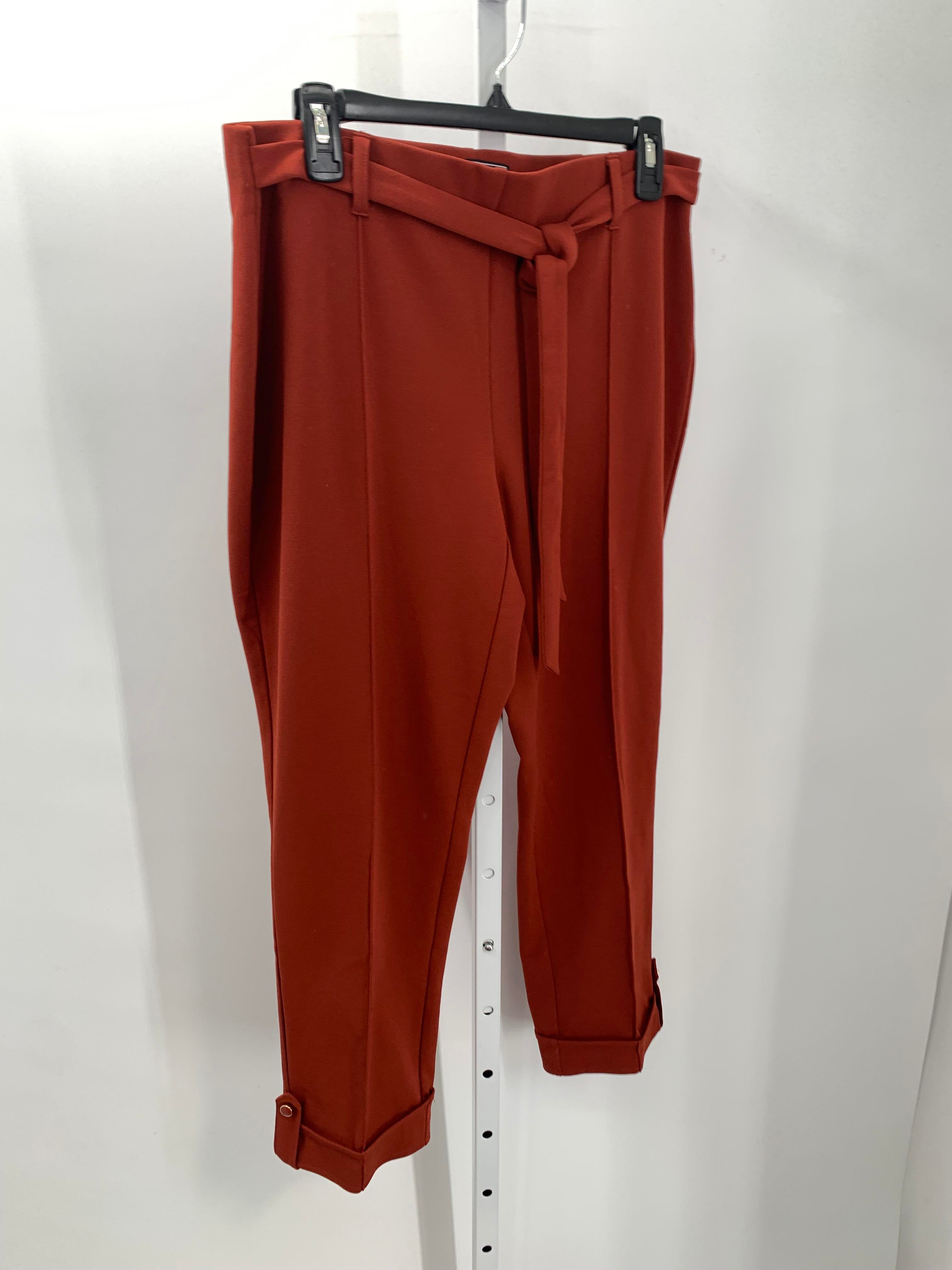 NYCC Size 12 Petite Petite Pants