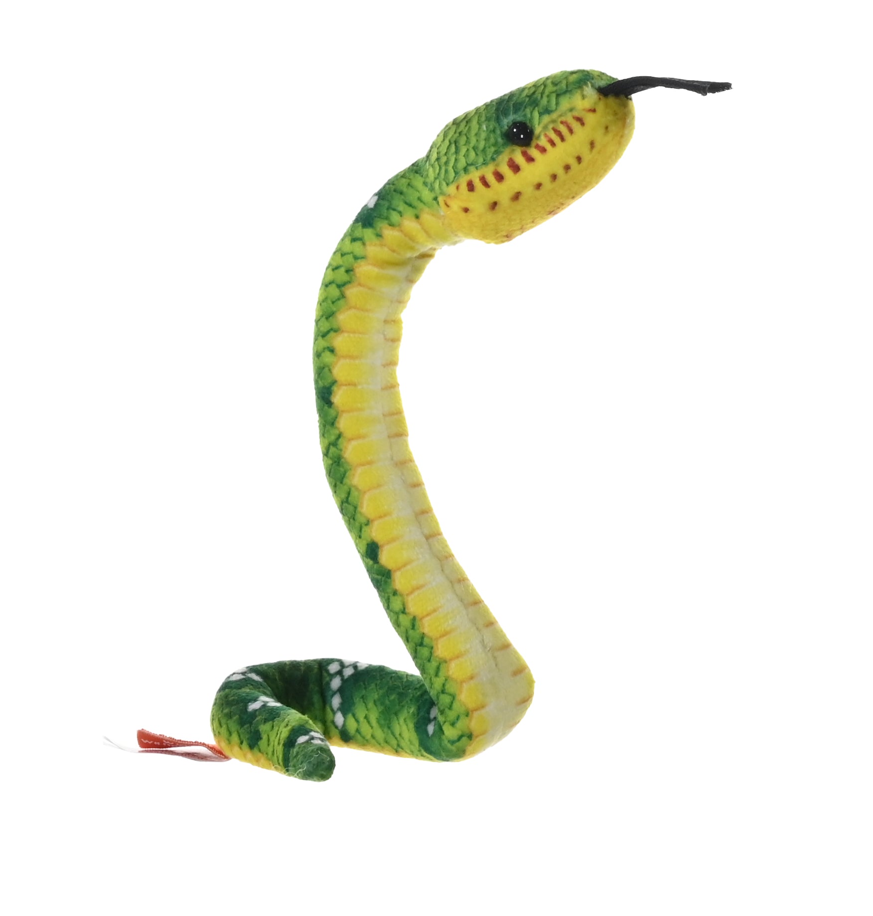 Coilkins Emerald Tree Boa Snake