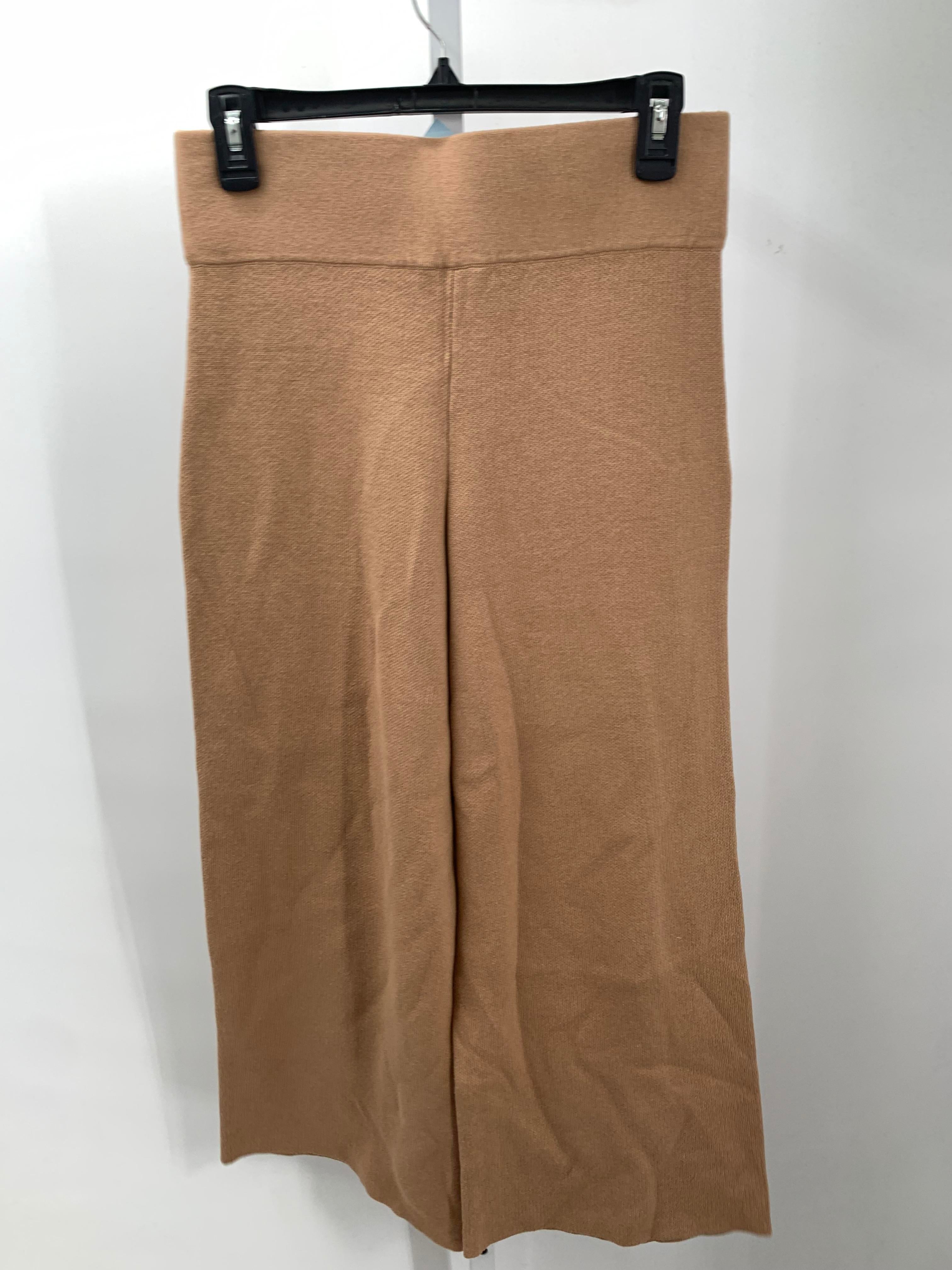 Ann Taylor Size Small Petite Petite Pants