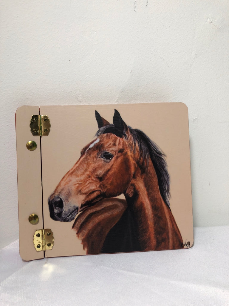 HORSE PHOTO ALBUMN.