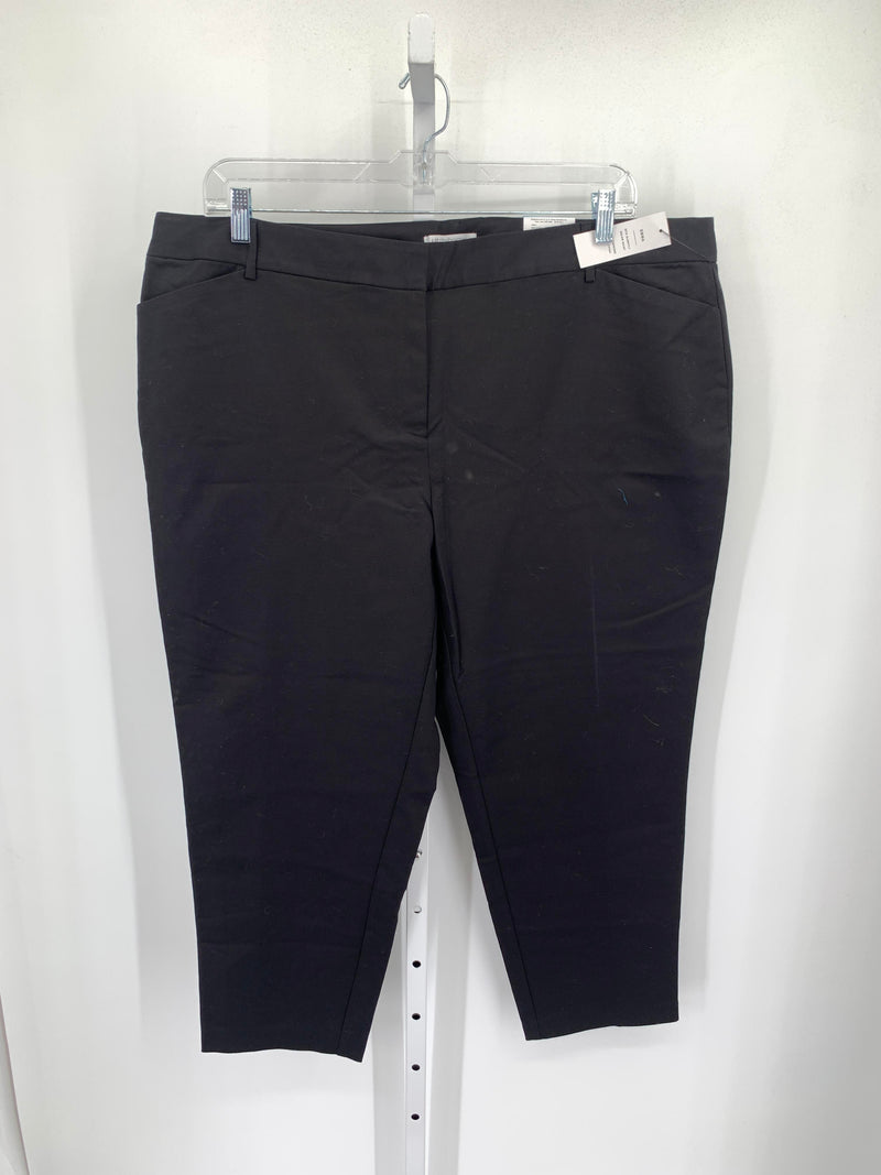 Liz Claiborne Size 20 W Womens Pants