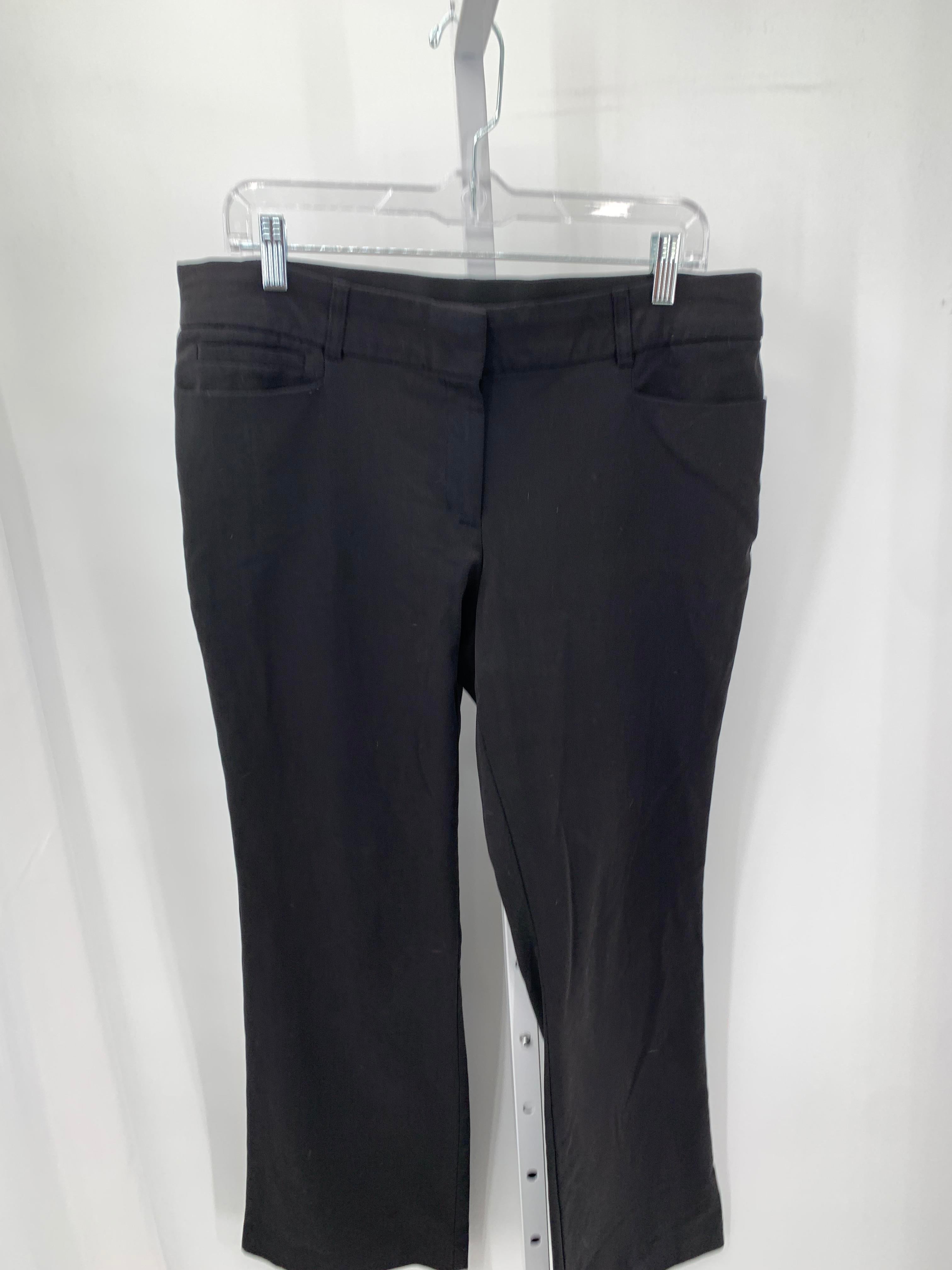 Briggs Size 12 Misses Pants