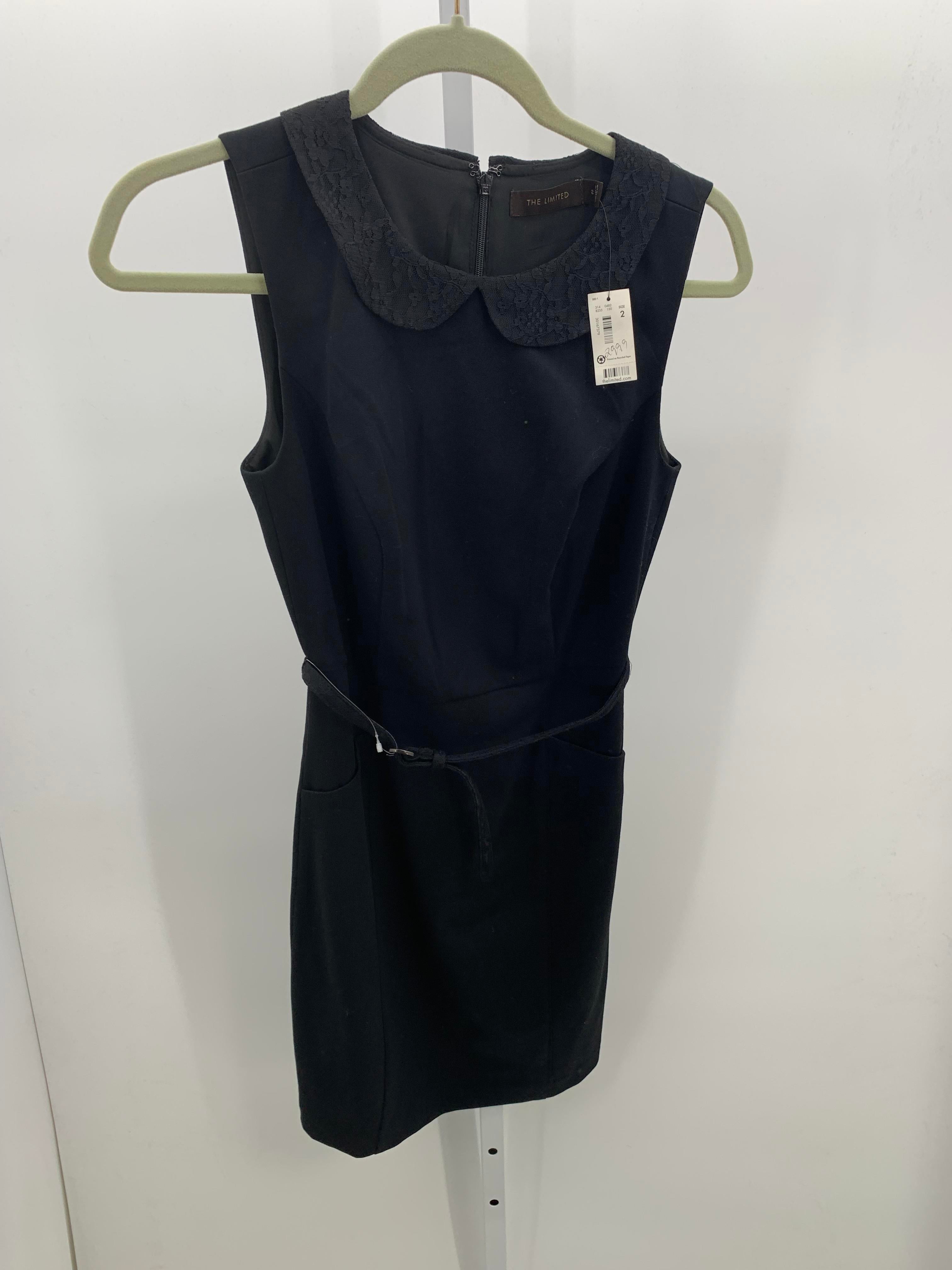The Limited Size 2 Misses Sleeveless Dress
