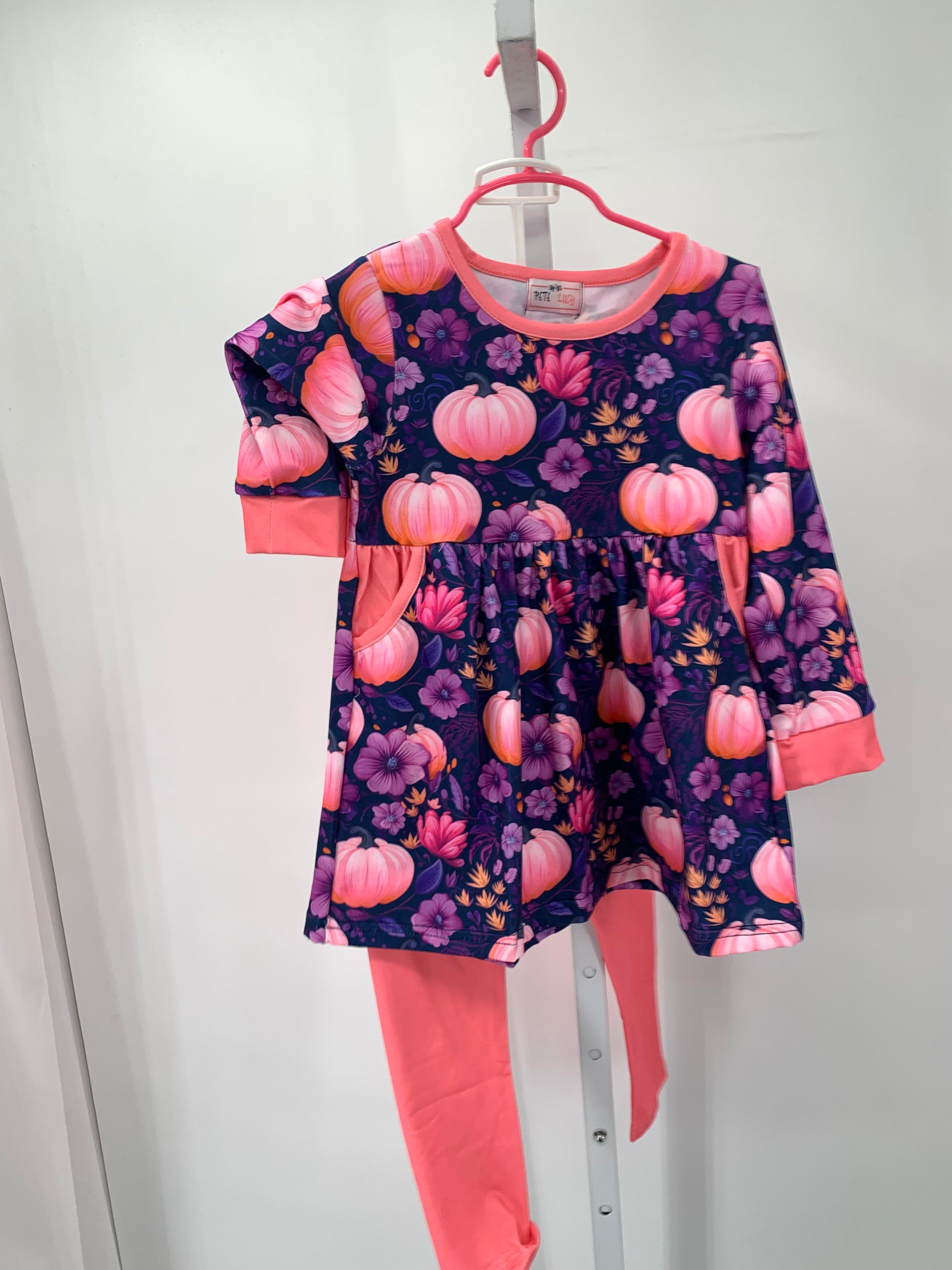 Size 4T Girls 2 Pieces