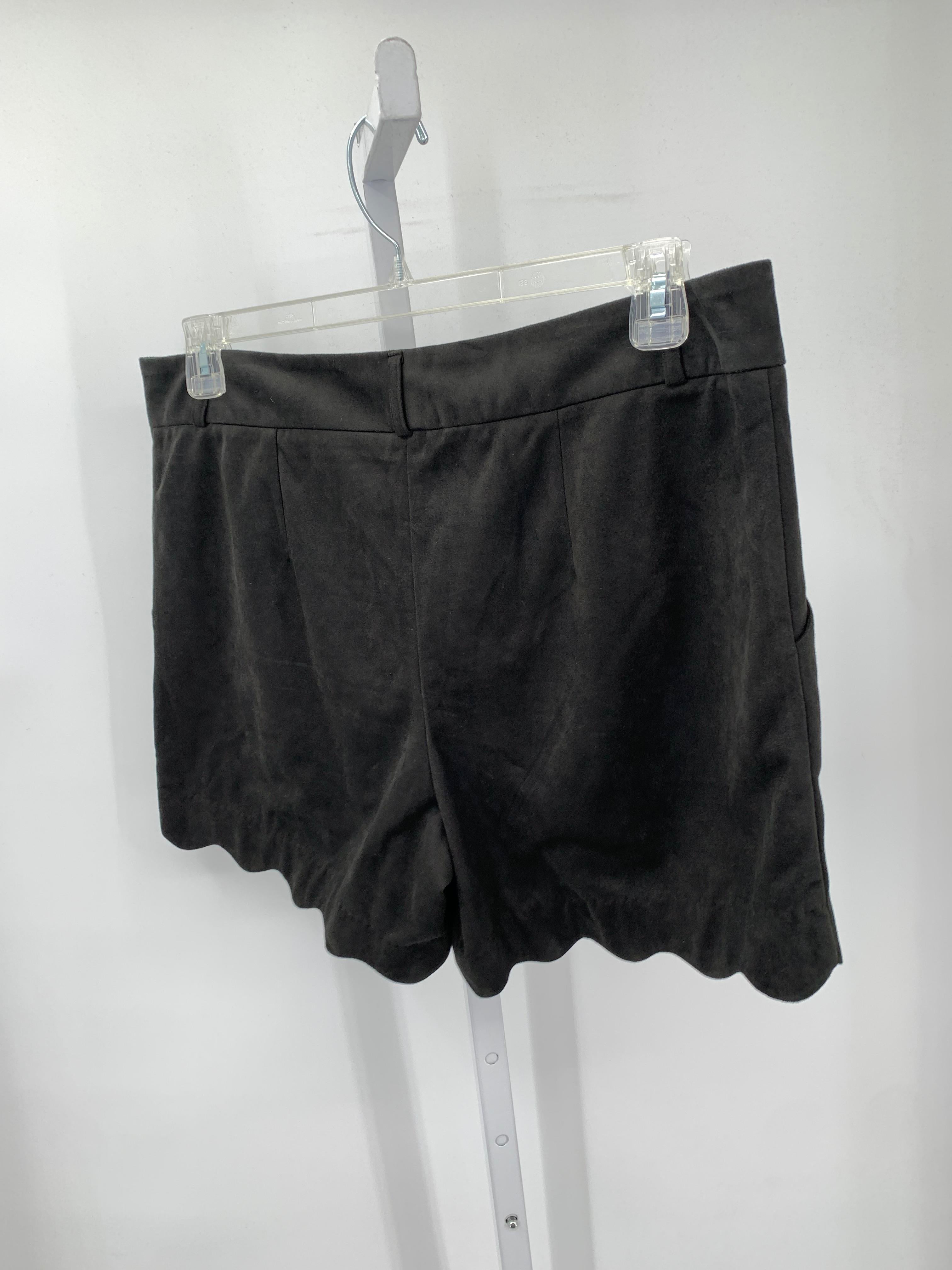 Maurices Size 14 Misses Shorts