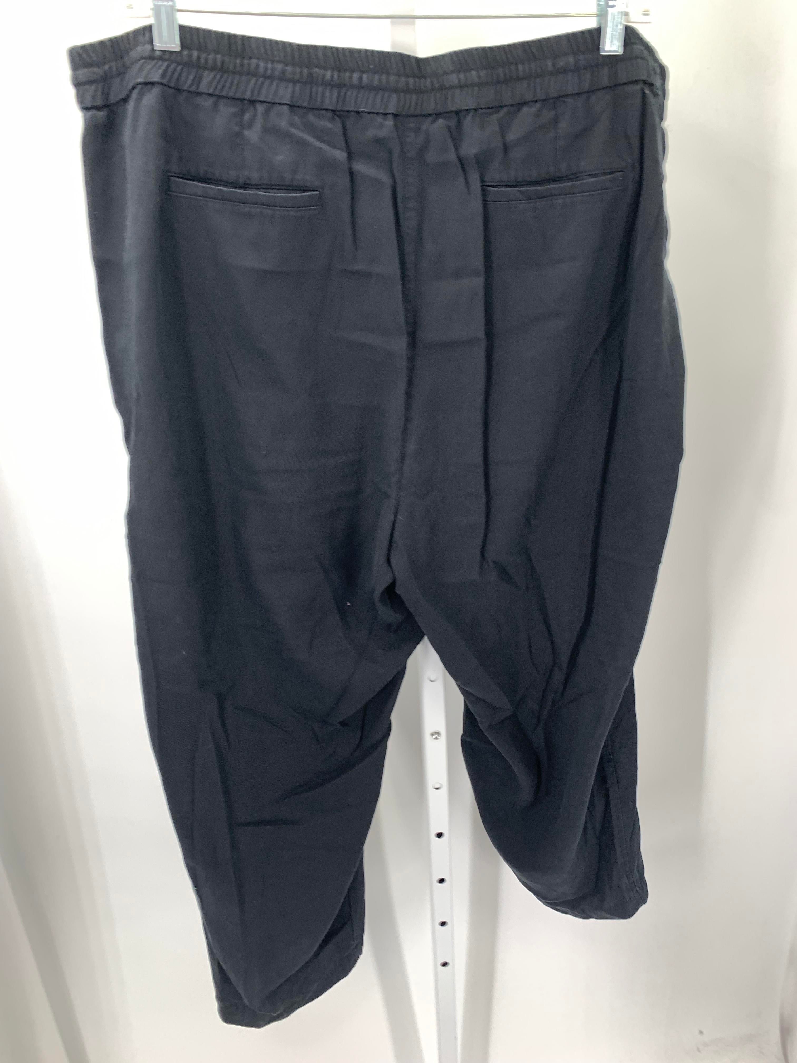 Talbots Size 24 W Womens Pants