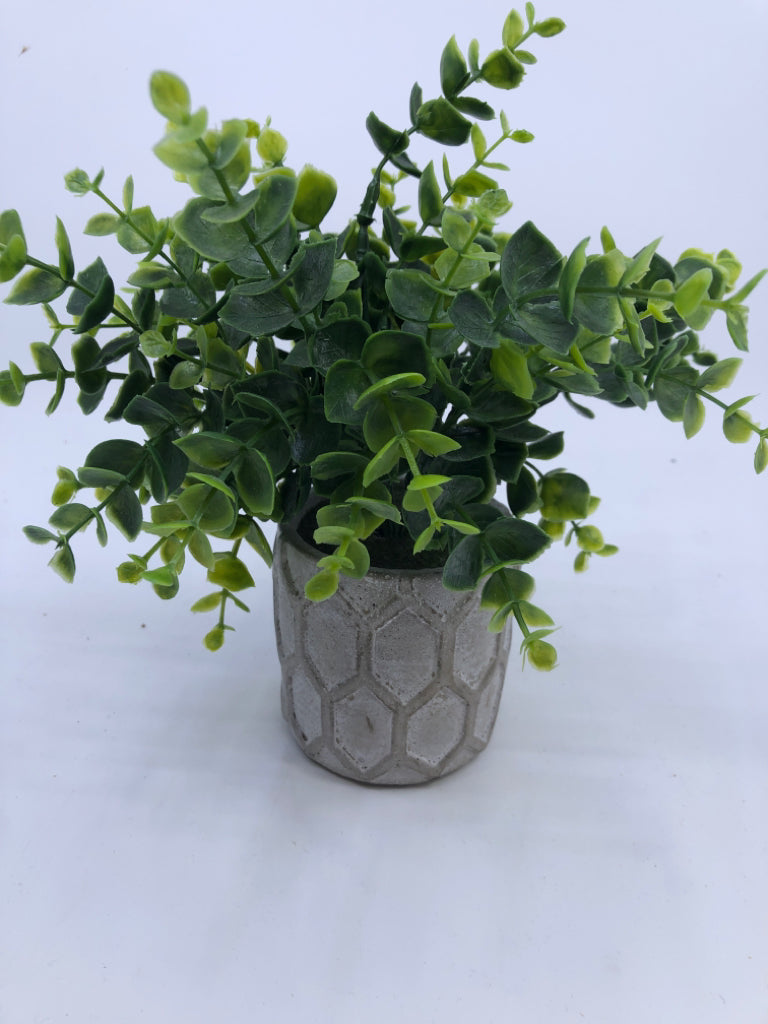 FAUX GREENS IN WHITE GREY.