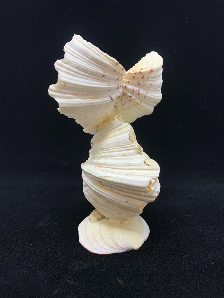 SEASHELL BIRD.