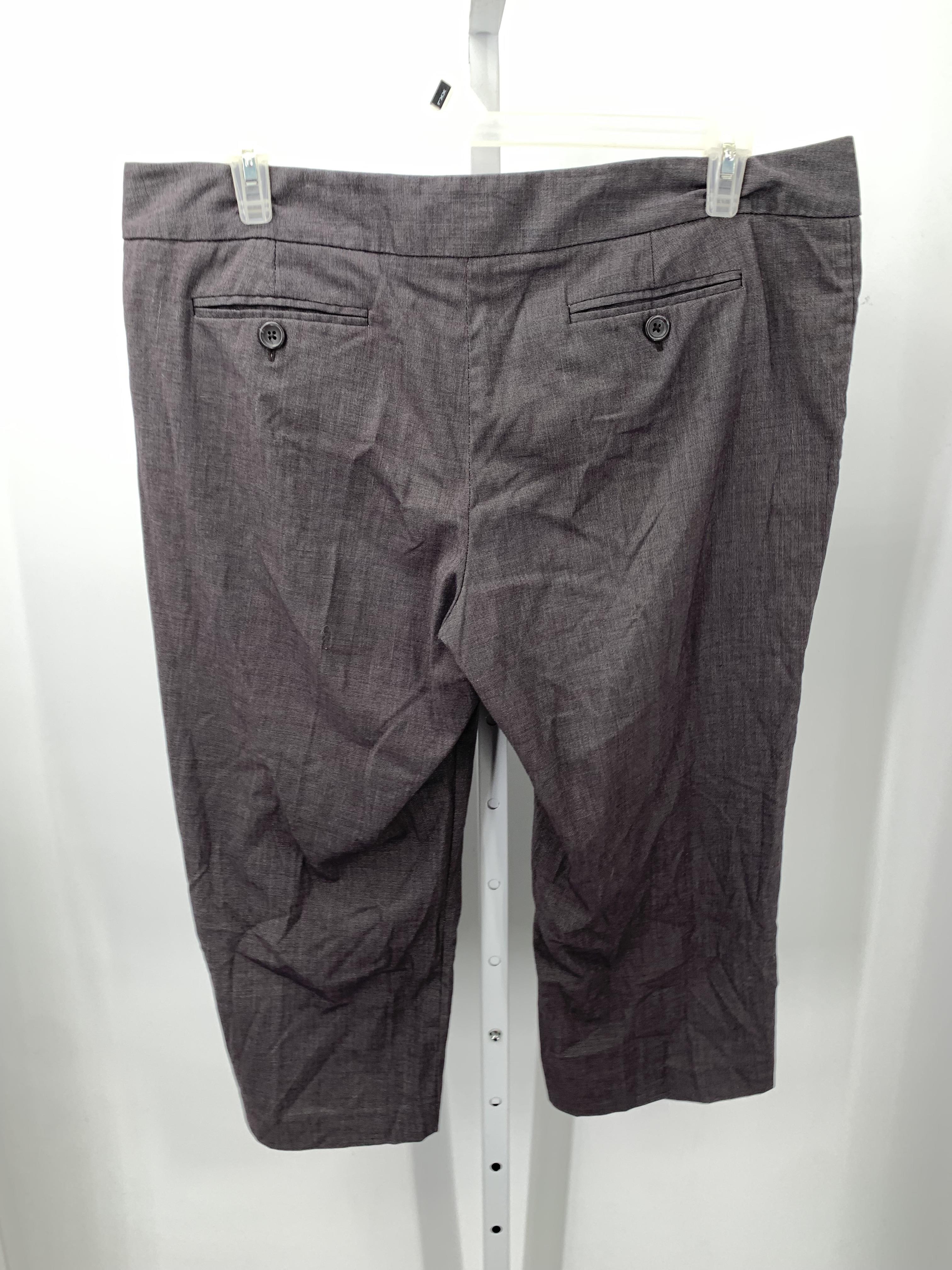 Mossimo Size 16 Misses Capri Pants