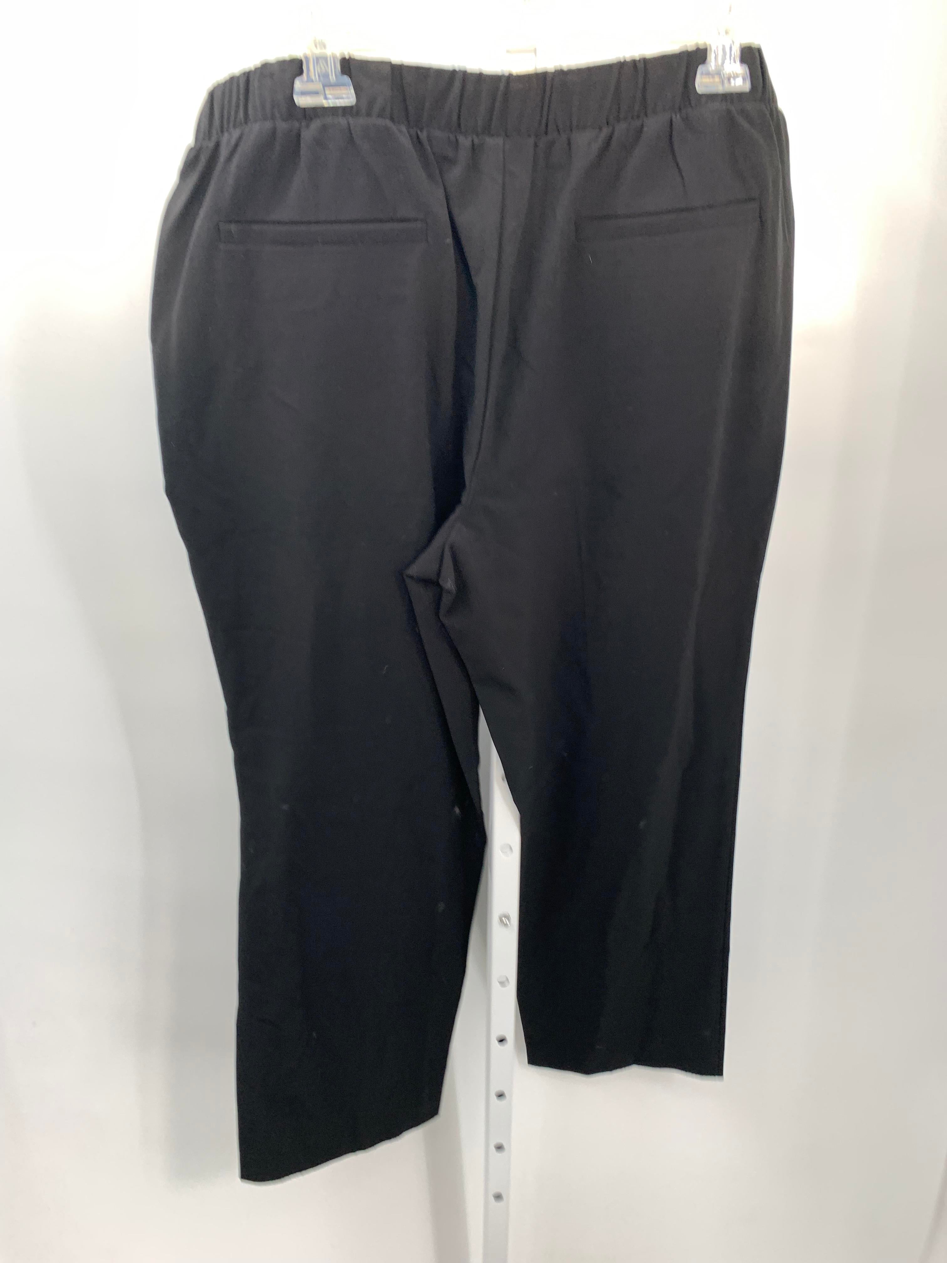 Time and Tru Size X Large Petite Petite Pants