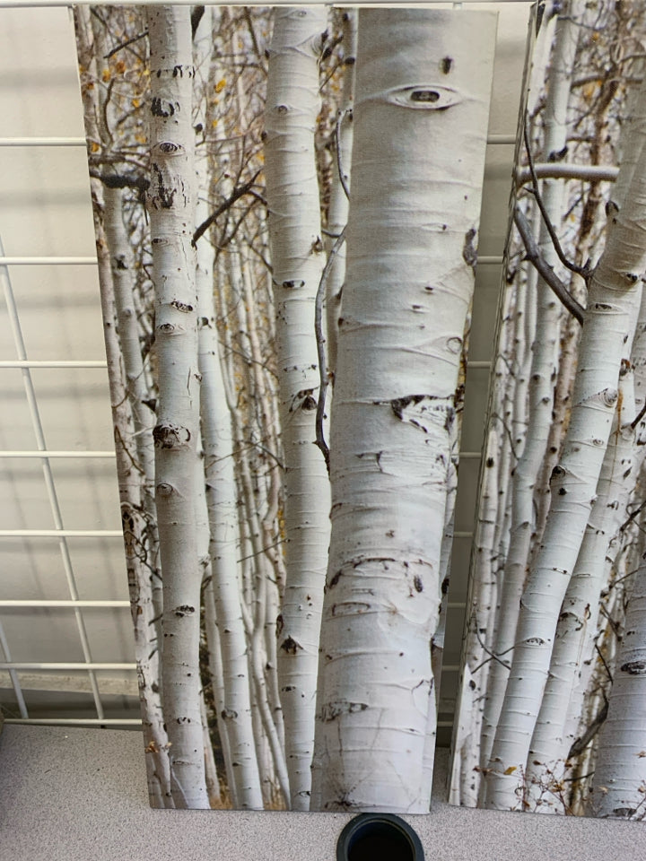 3 PC BIRCH TREE CANVAS WALL HANGING.