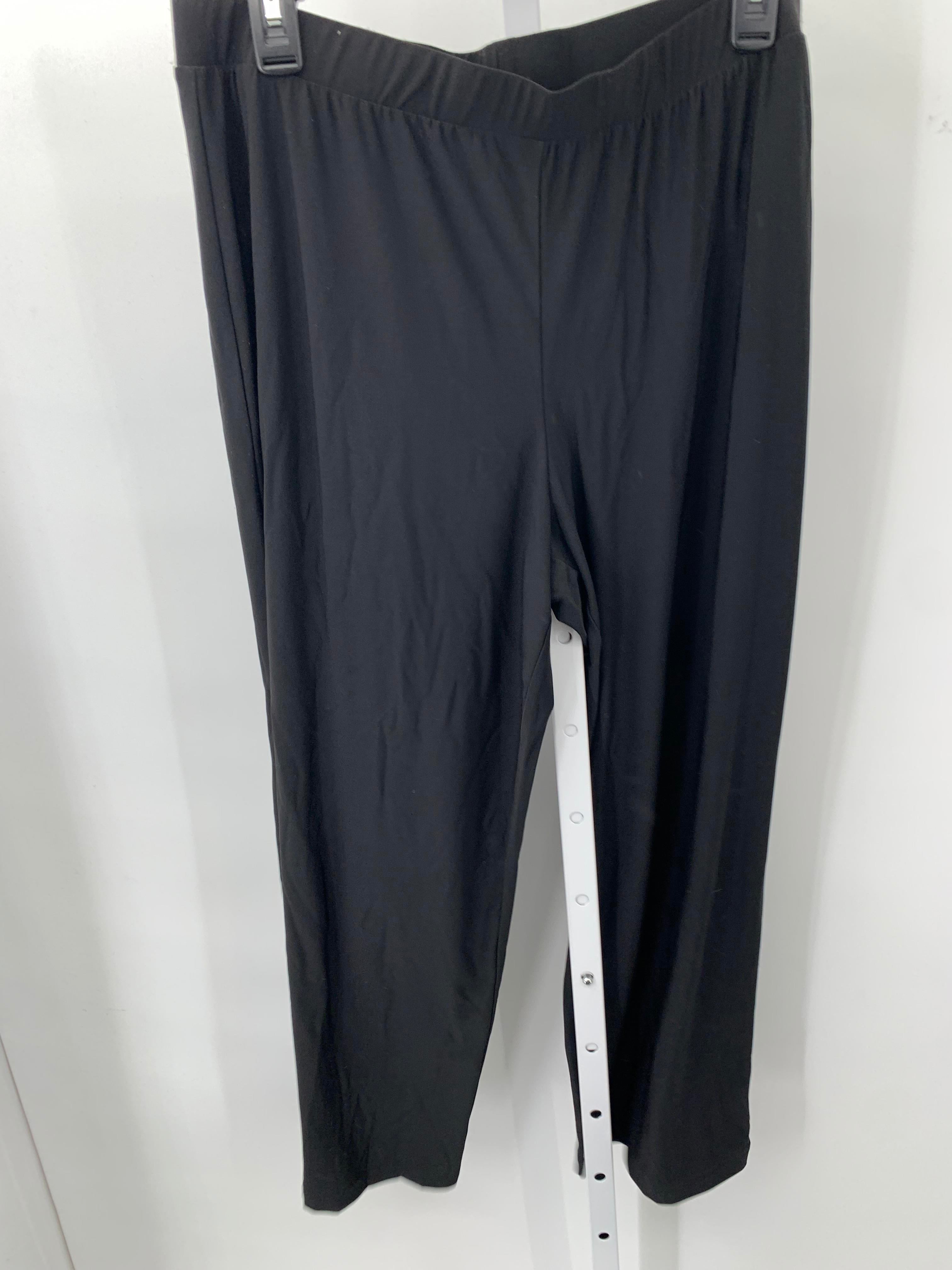 Premise Size Extra Large Misses Pants