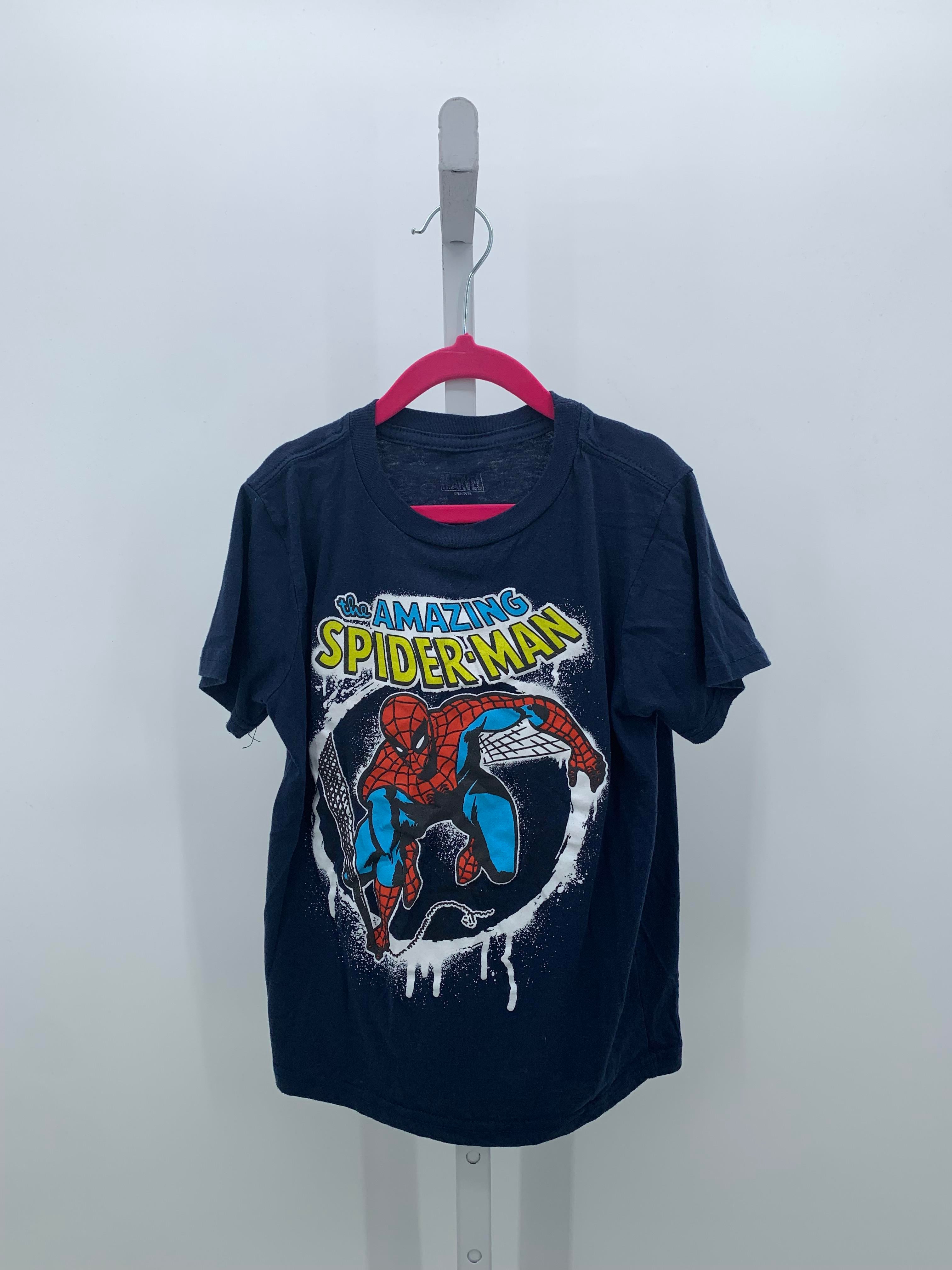 THE AMAZING SPIDER-MAN