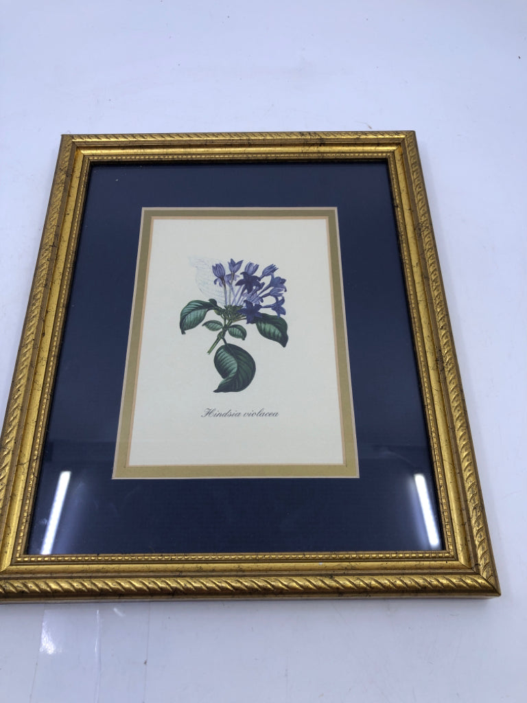 VIOLETS IN GOLD FRAME BLUE BACKGROUND.