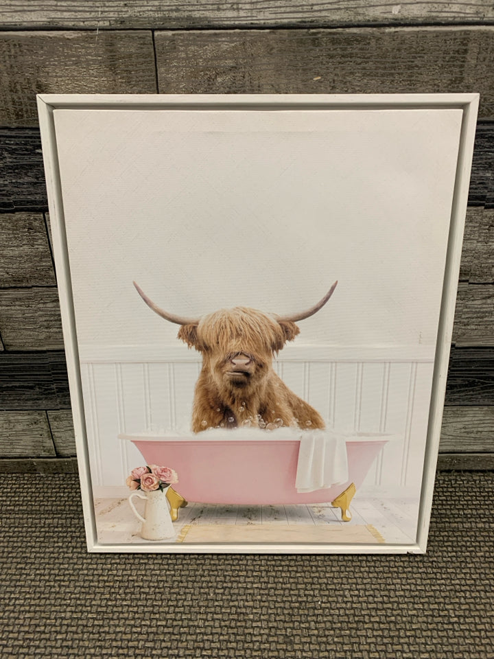 HIGHLAND COW IN BATHTUB.