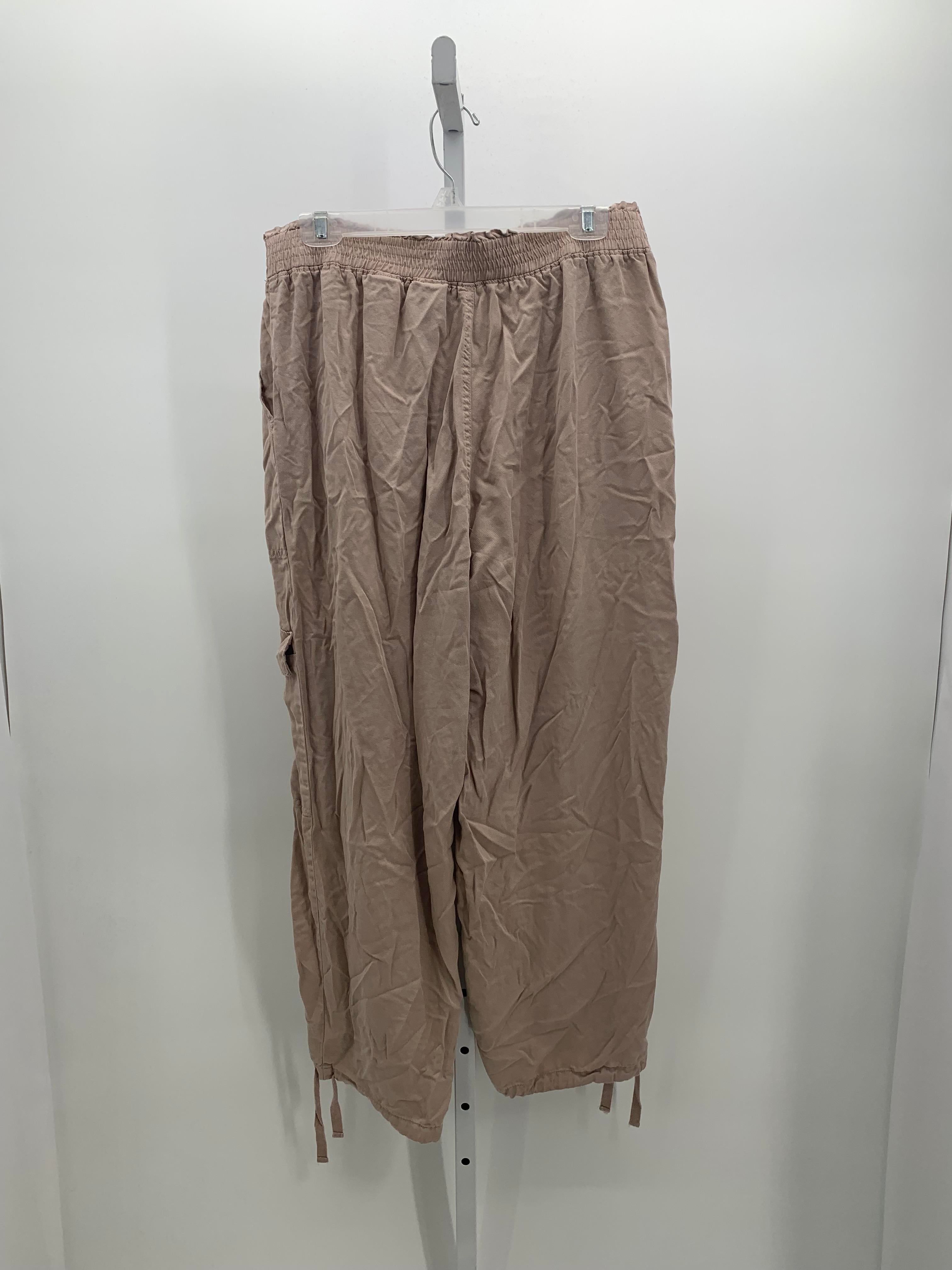 Time and Tru Size Large Misses Pants