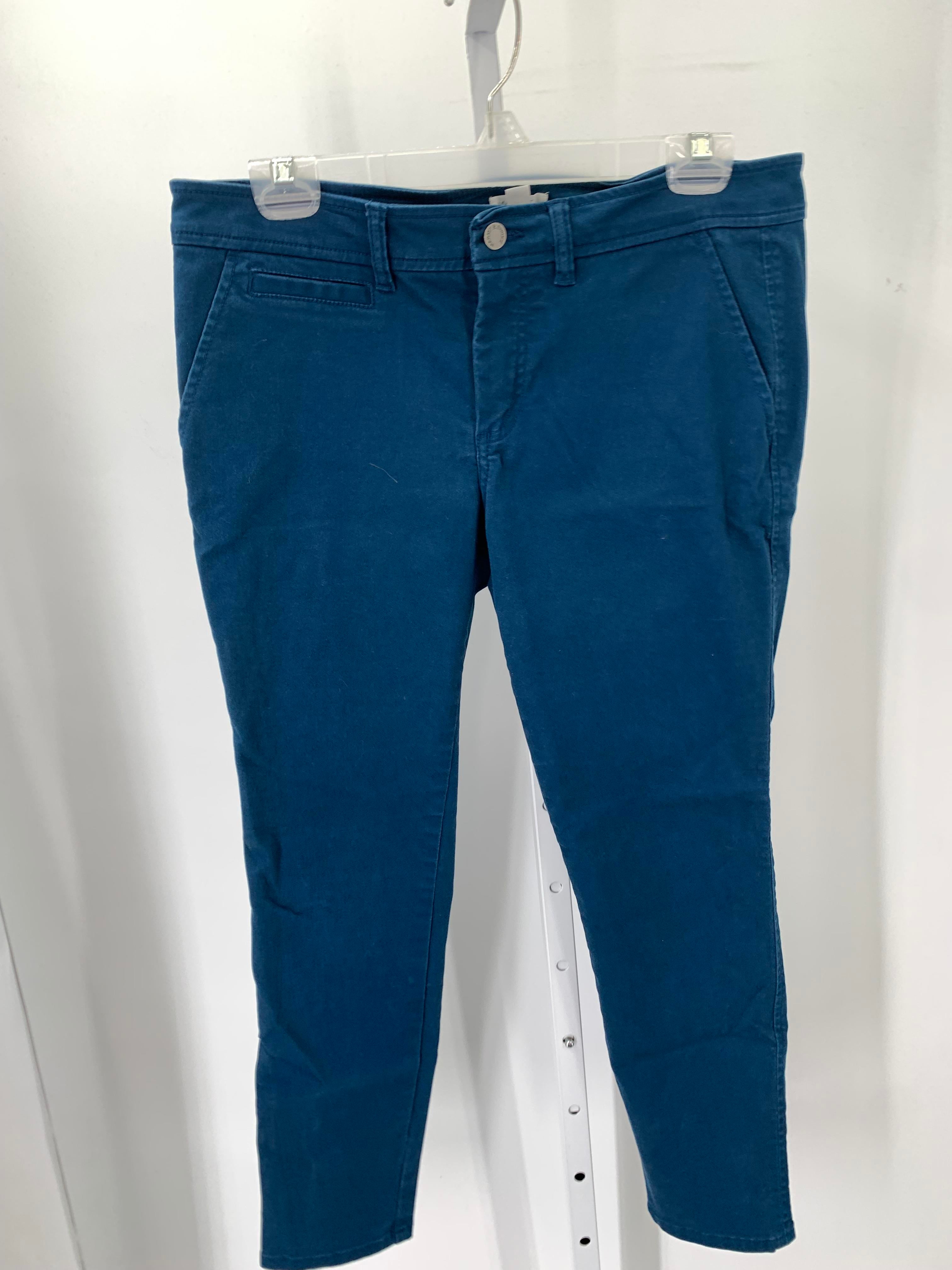 market & spruce Size 12 Petite Petite Pants