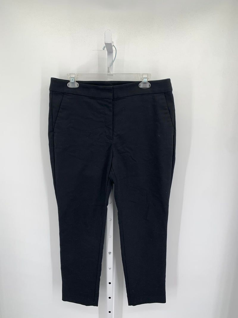 Loft Size 12 Misses Pants