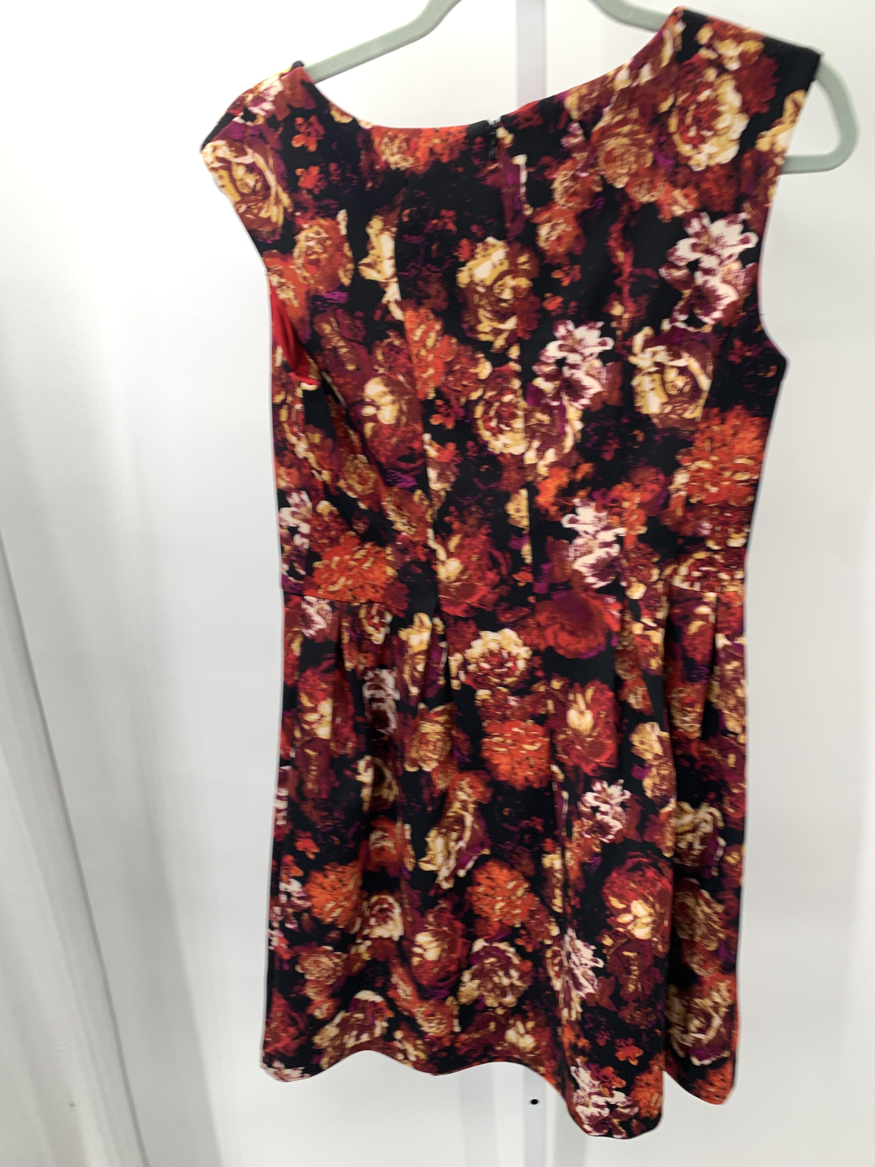 db Size 8 Petite Petite Sleeveless Dress