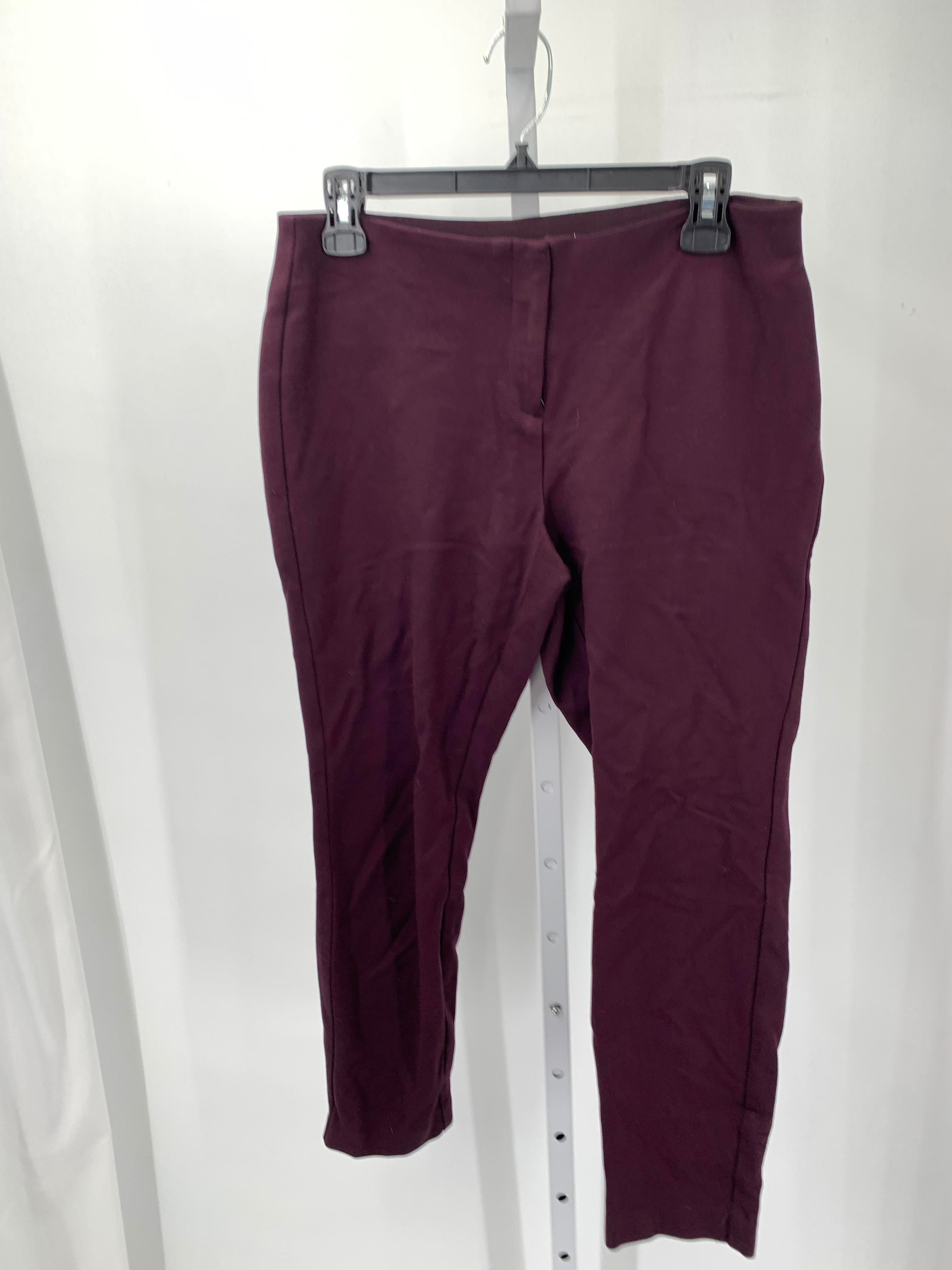 Alfani Size 10 Petite Petite Pants