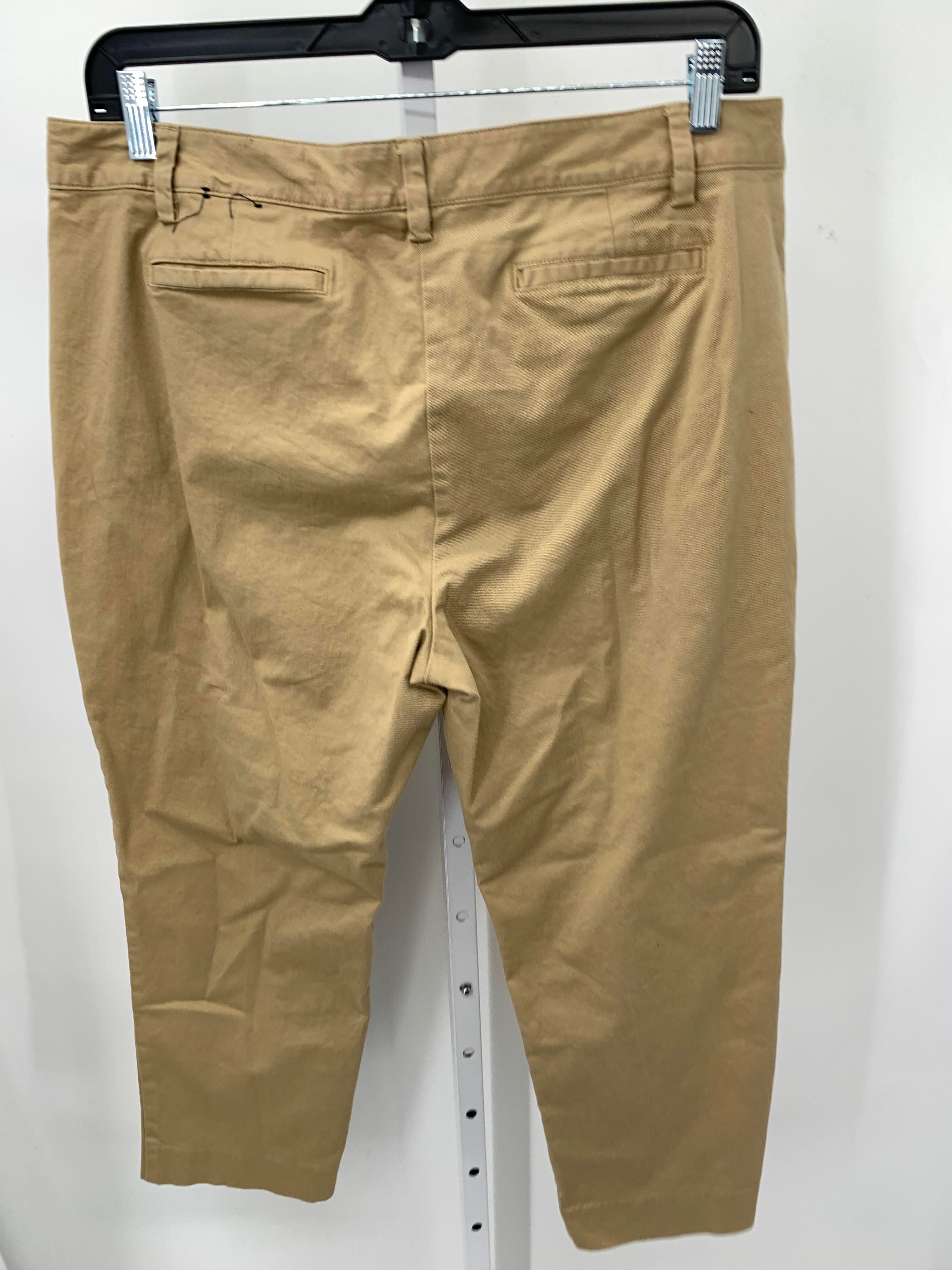 Lands End Size 16 Petite Petite Pants