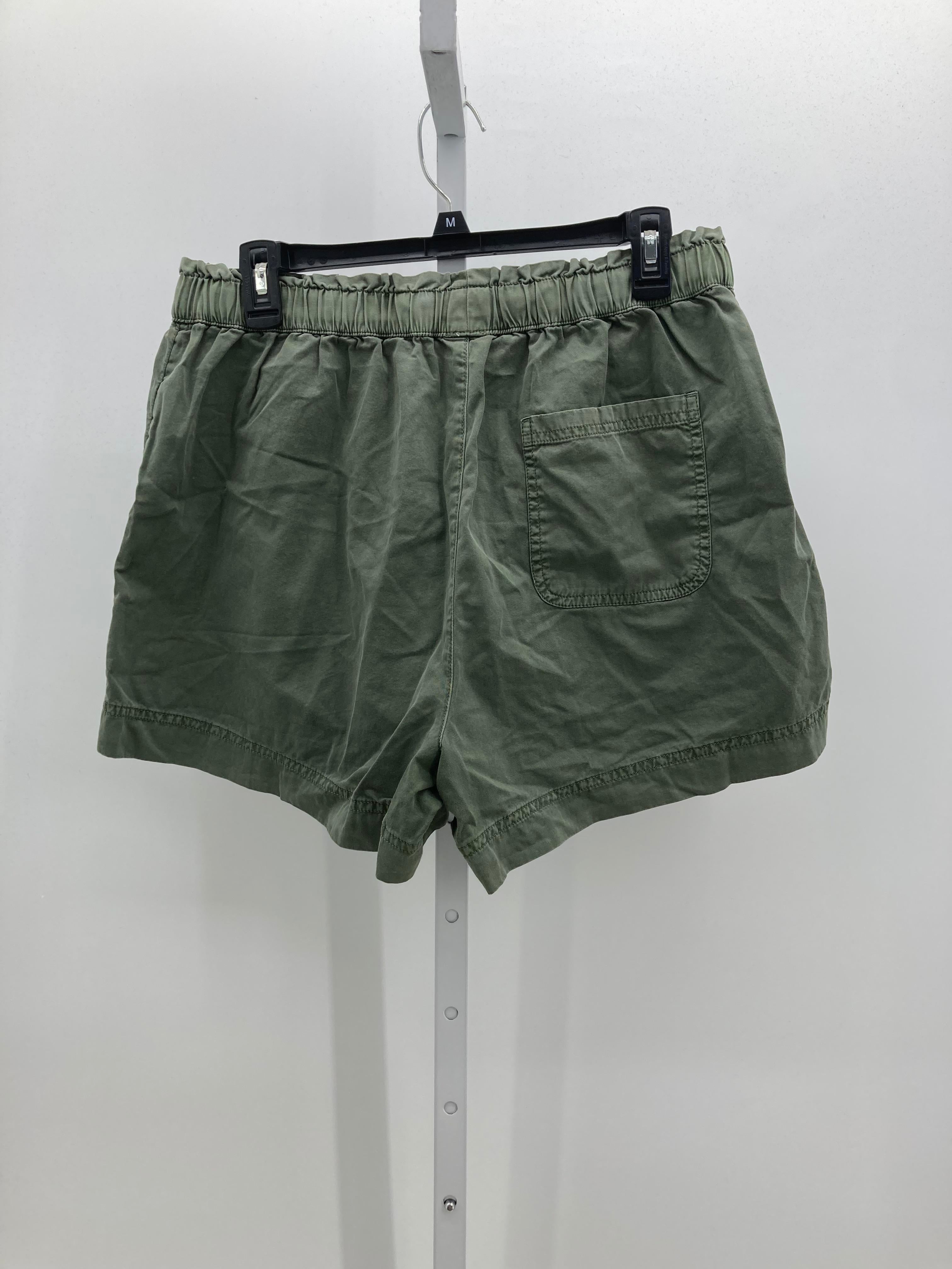 Aerie Size Large Juniors Shorts
